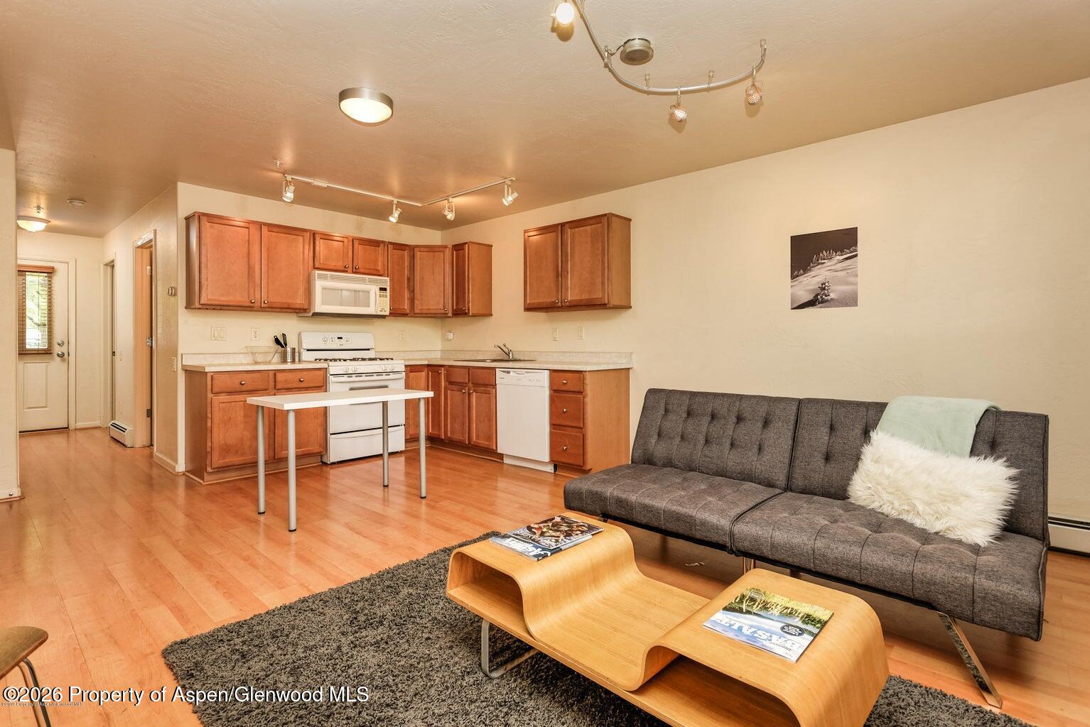 604 Lakeside Drive Basalt CO 81621