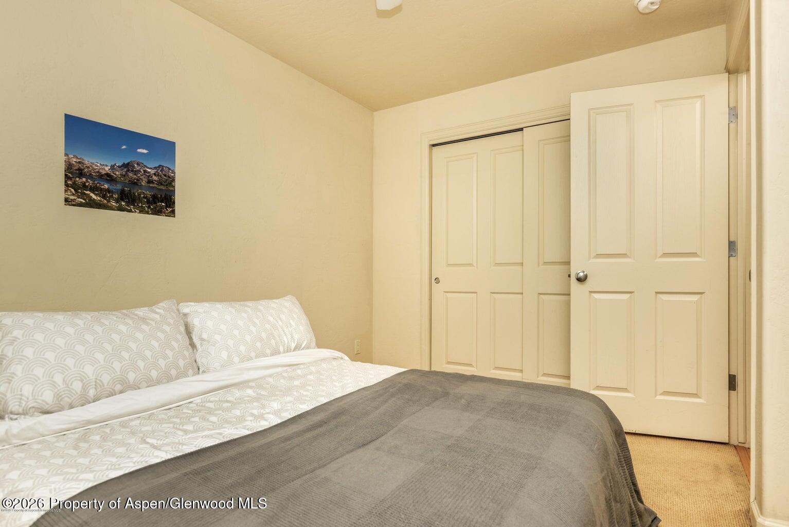604 Lakeside Drive Basalt CO 81621