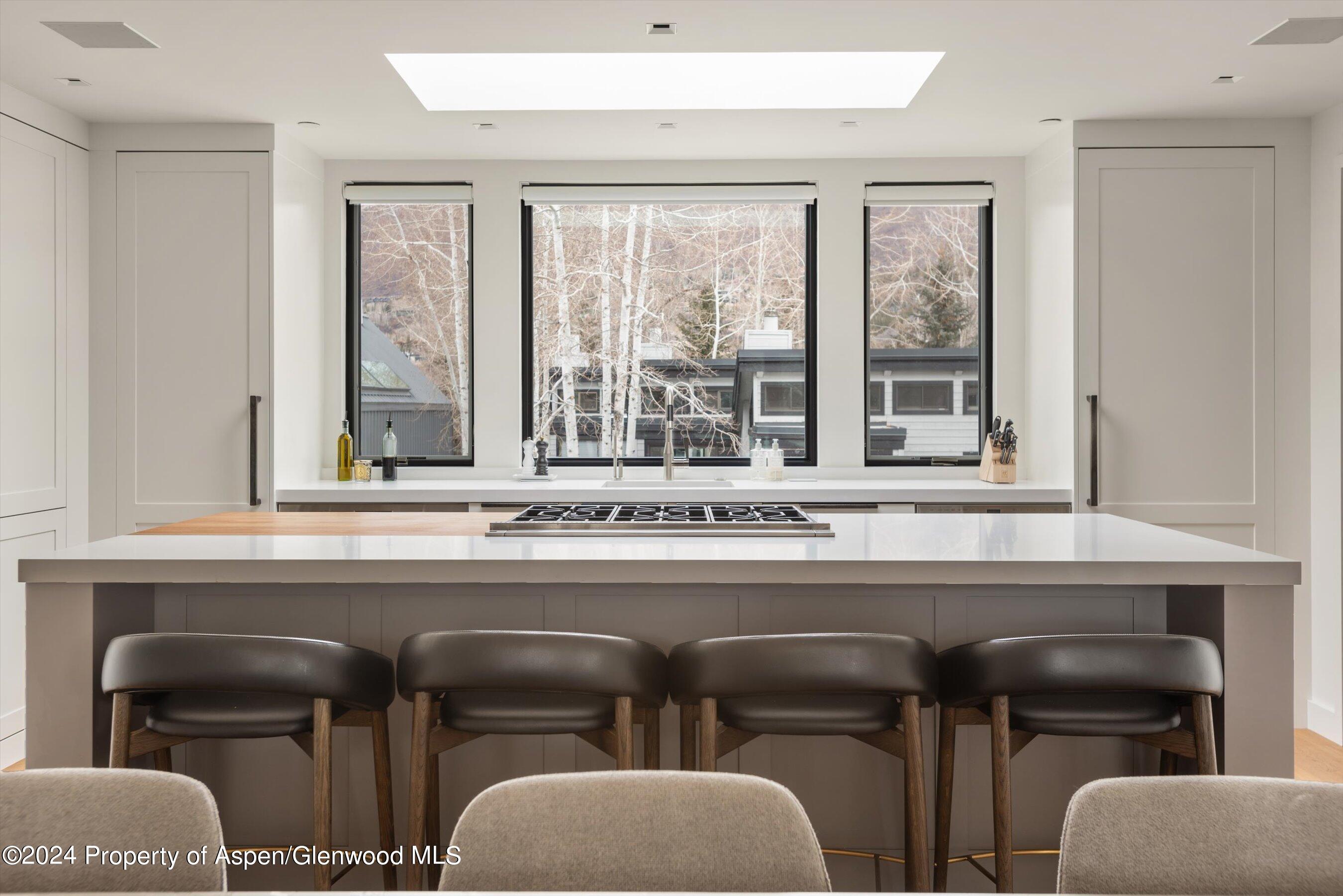 708 E Hopkins Avenue Aspen CO 81611