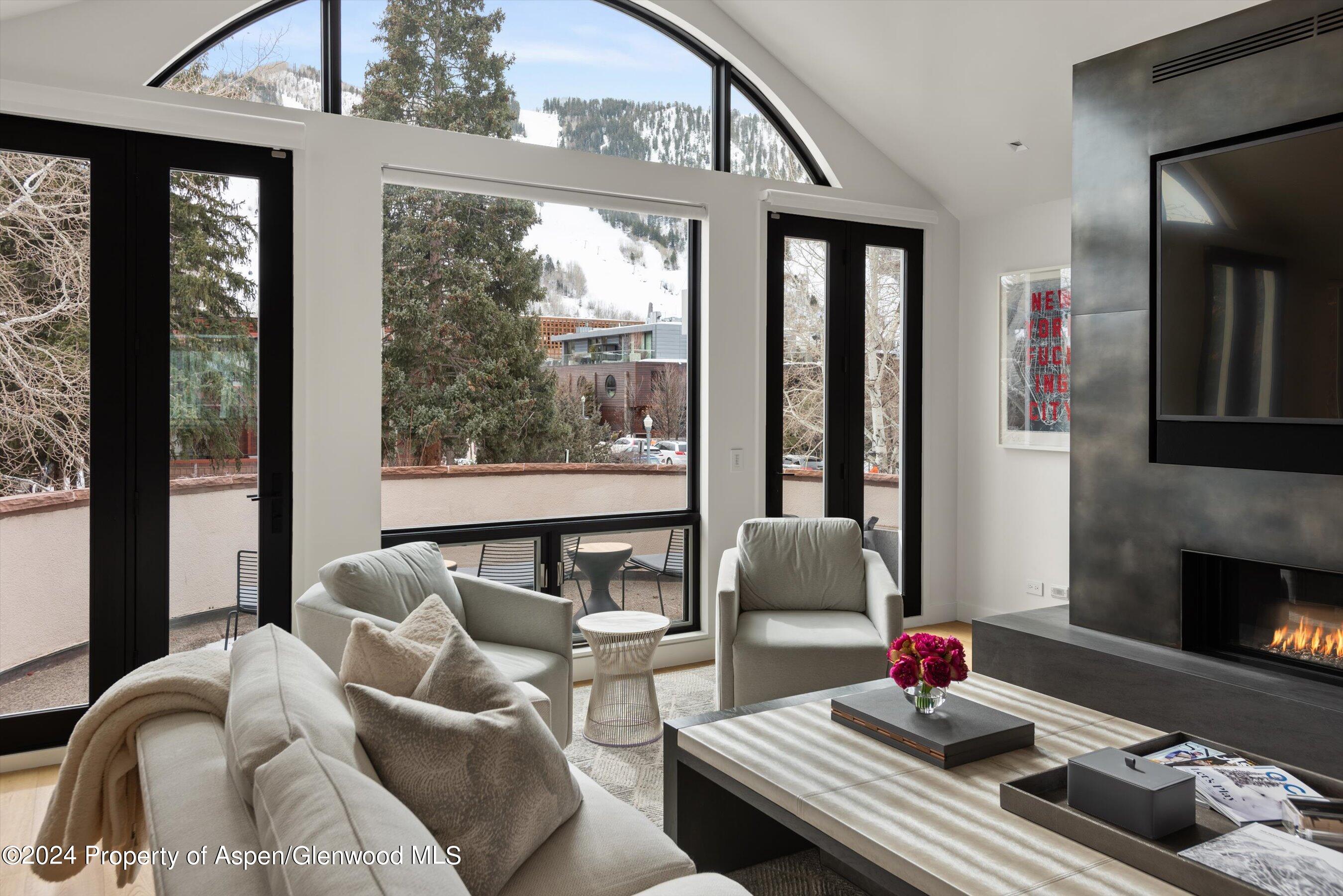 708 E Hopkins Avenue Aspen CO 81611