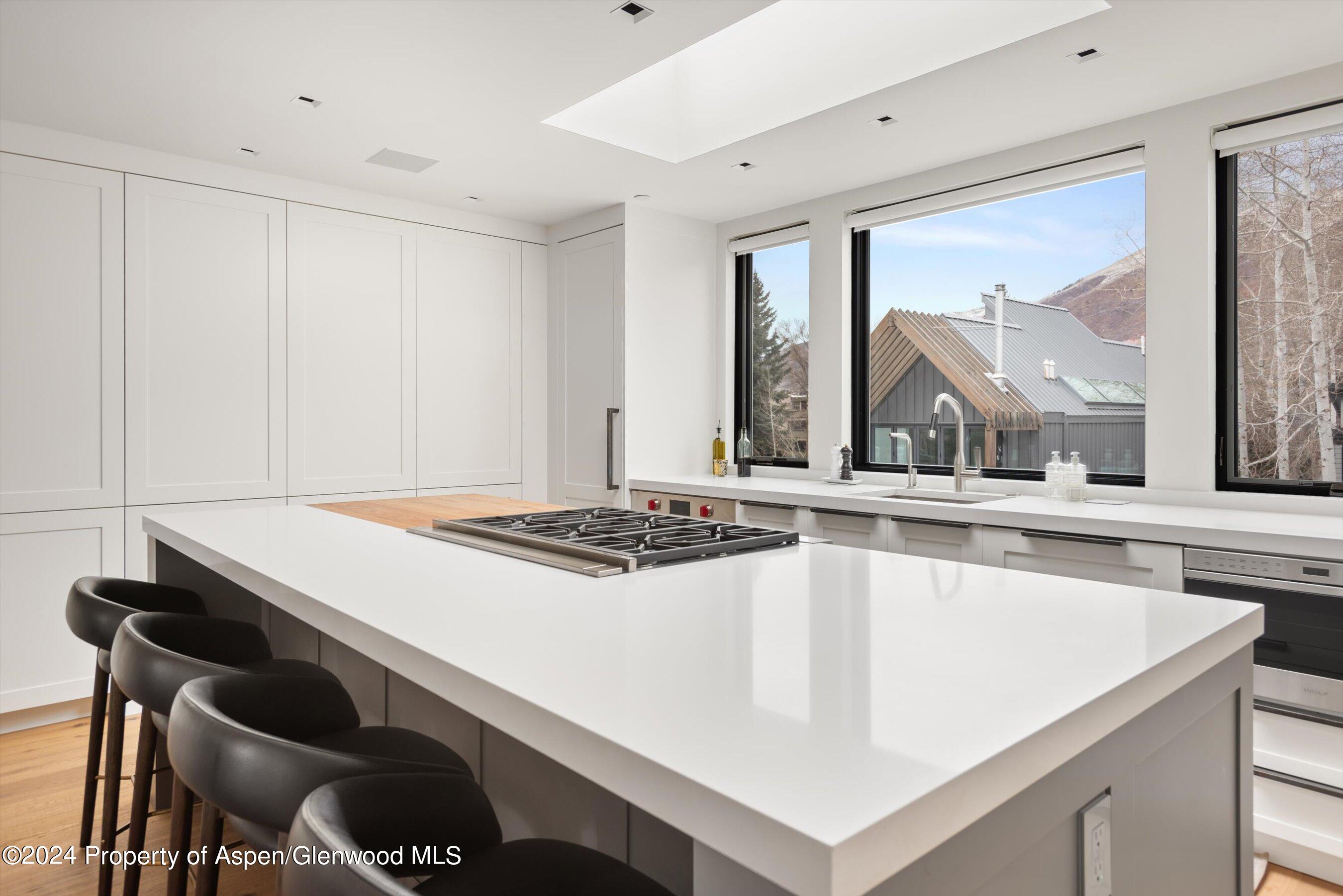 708 E Hopkins Avenue Aspen CO 81611