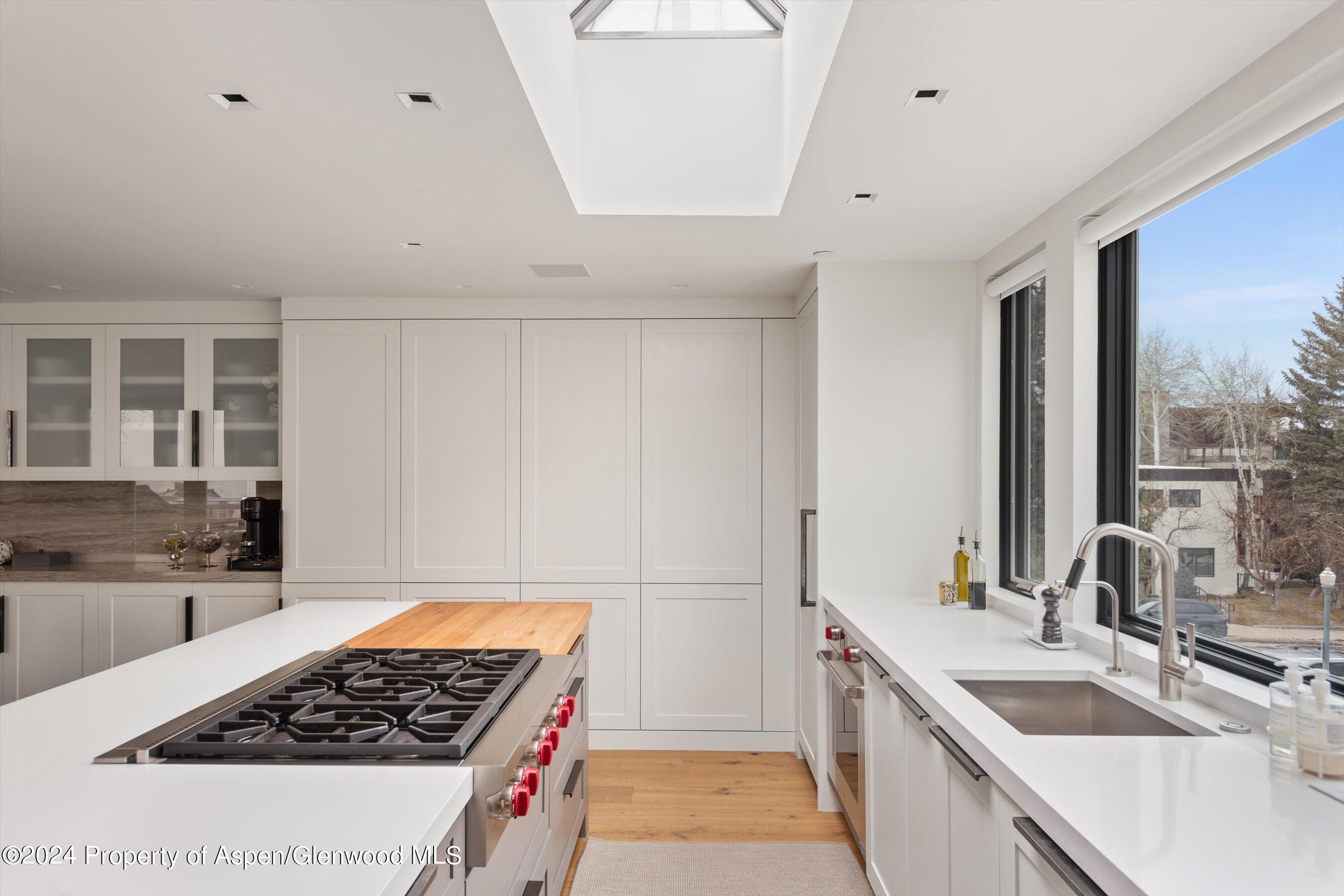 708 E Hopkins Avenue Aspen CO 81611