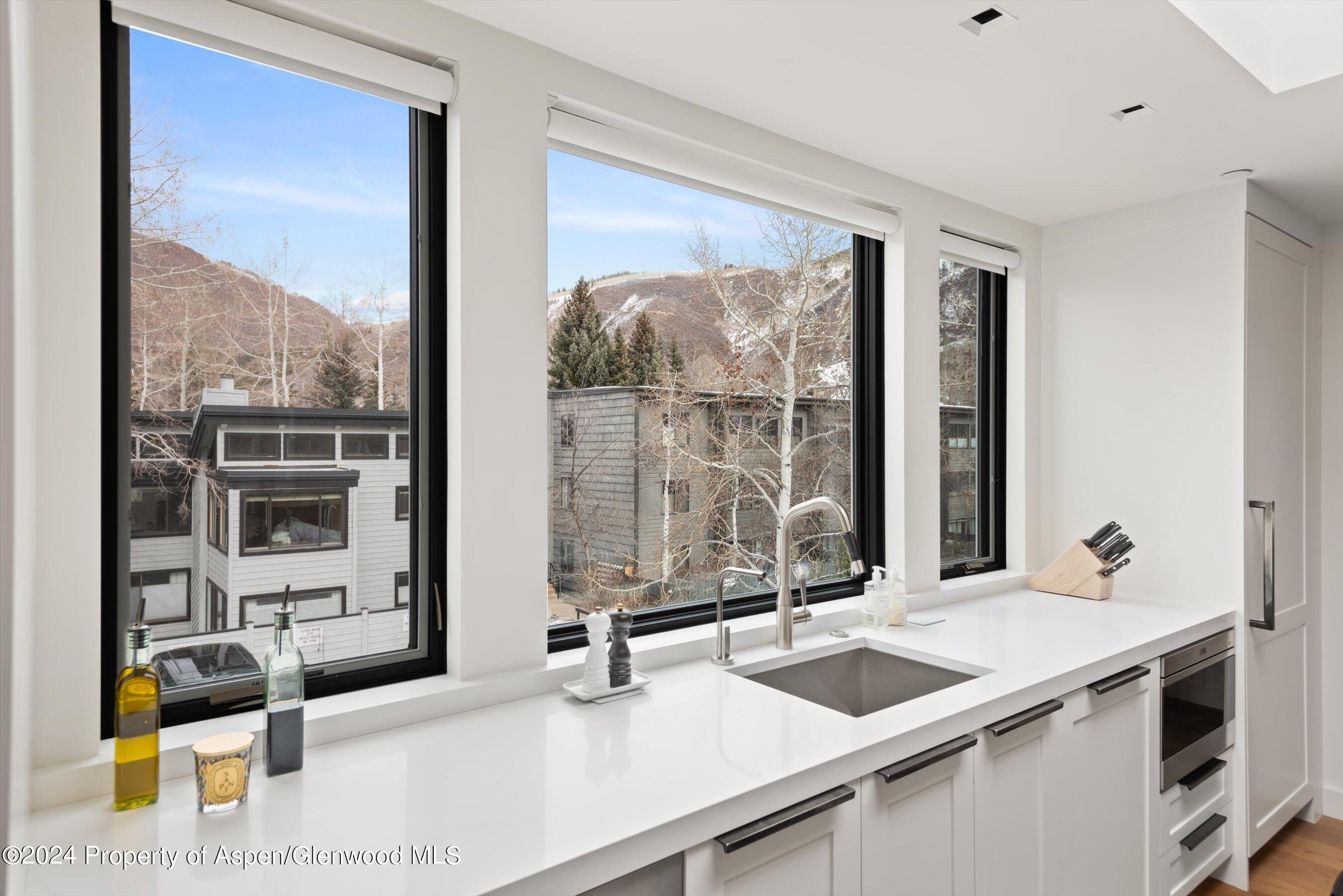 708 E Hopkins Avenue Aspen CO 81611