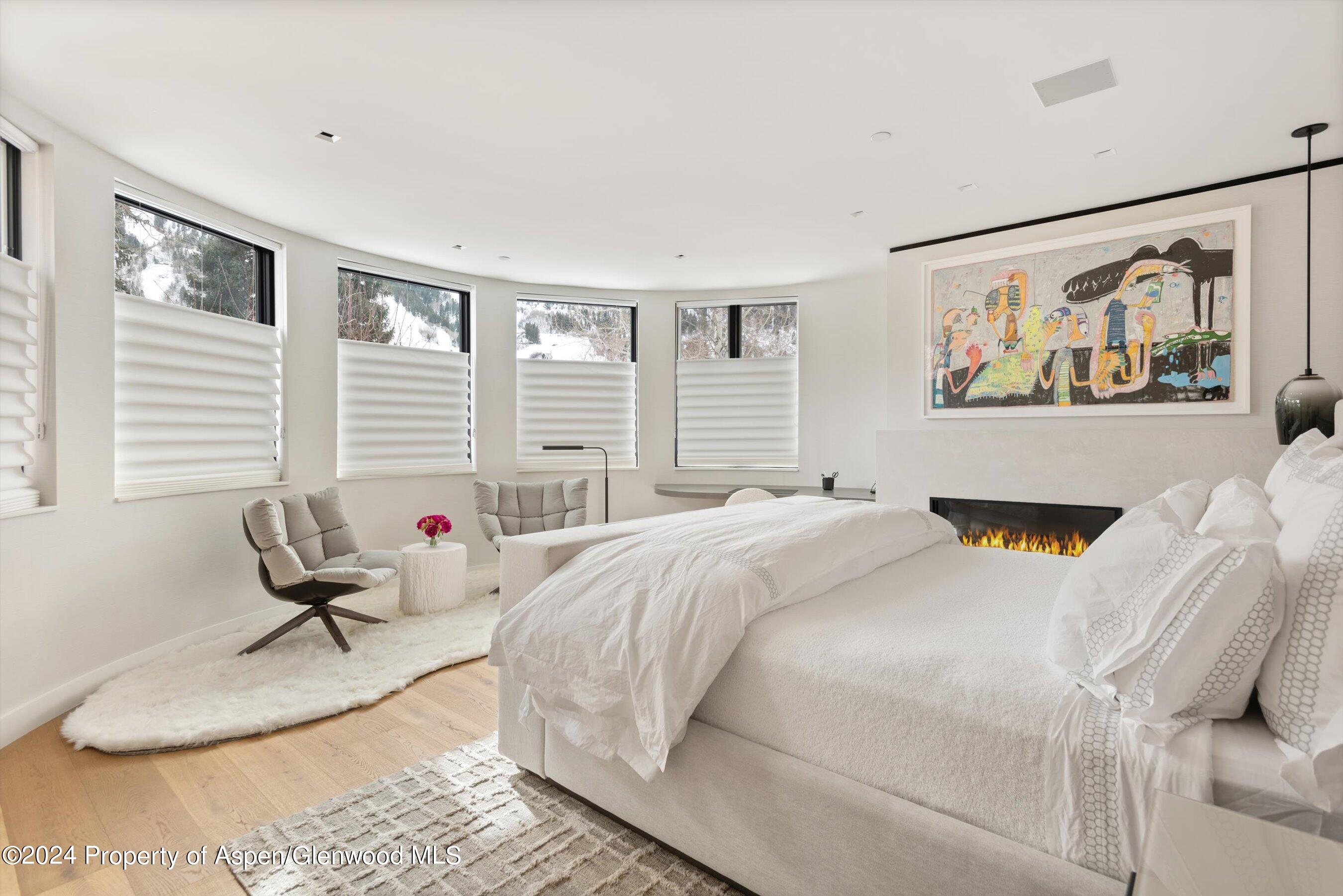 708 E Hopkins Avenue Aspen CO 81611