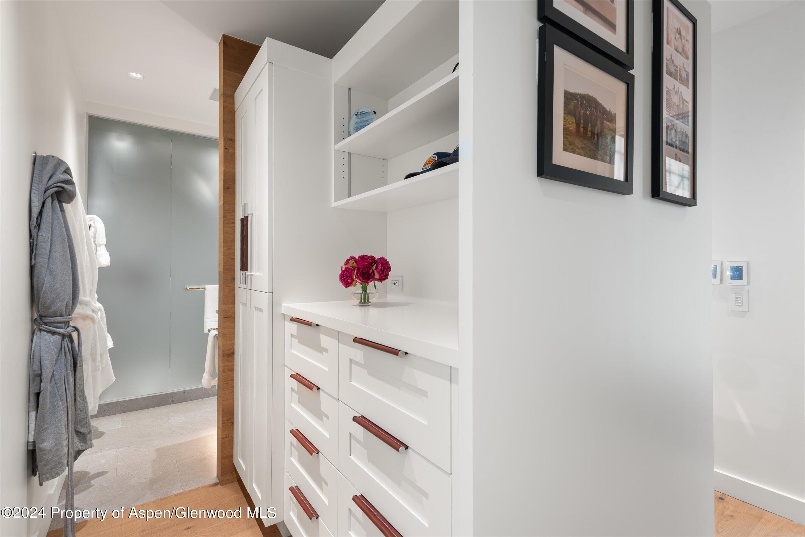 708 E Hopkins Avenue Aspen CO 81611