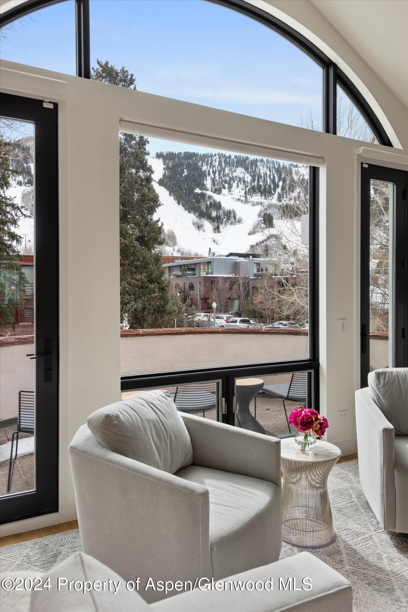 708 E Hopkins Avenue Aspen CO 81611