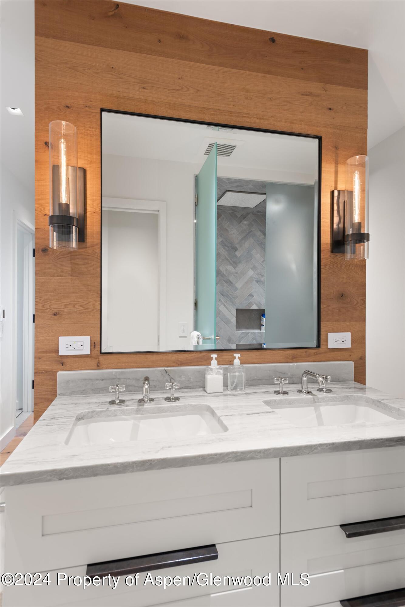 708 E Hopkins Avenue Aspen CO 81611