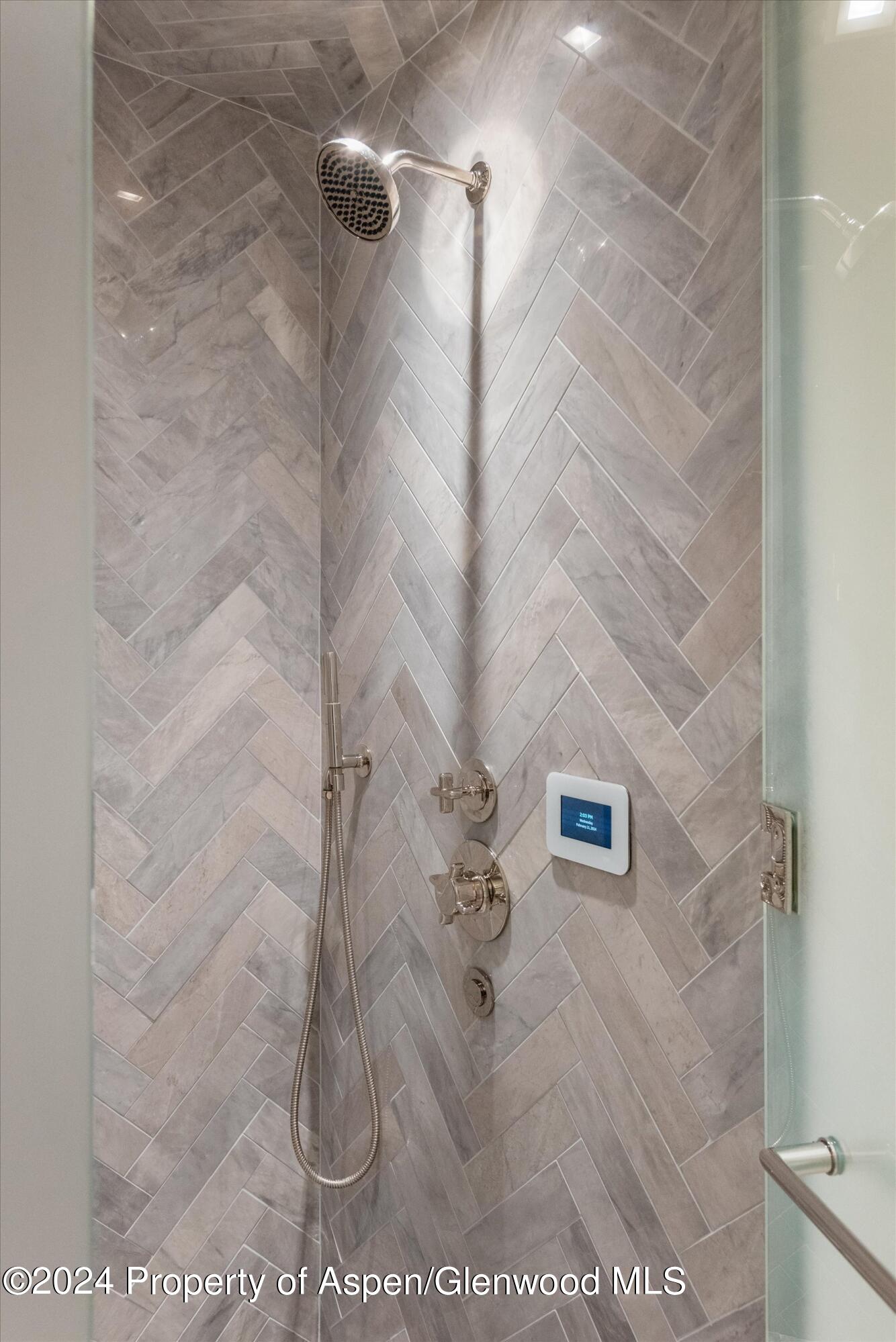 708 E Hopkins Avenue Aspen CO 81611