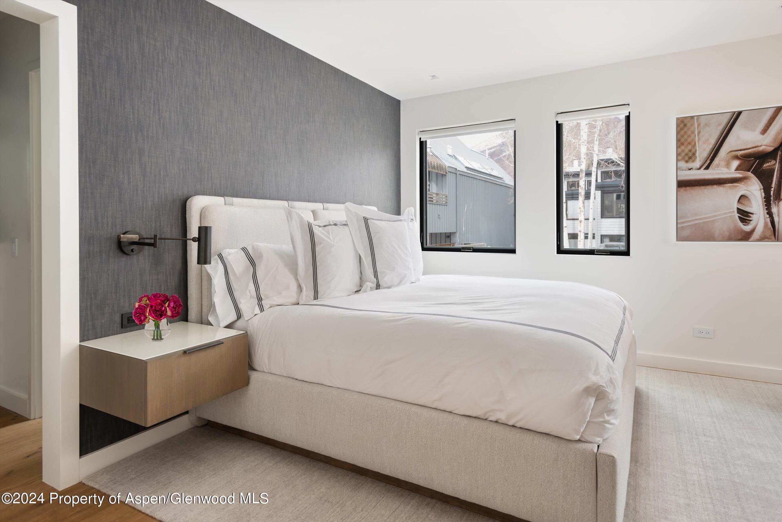 708 E Hopkins Avenue Aspen CO 81611