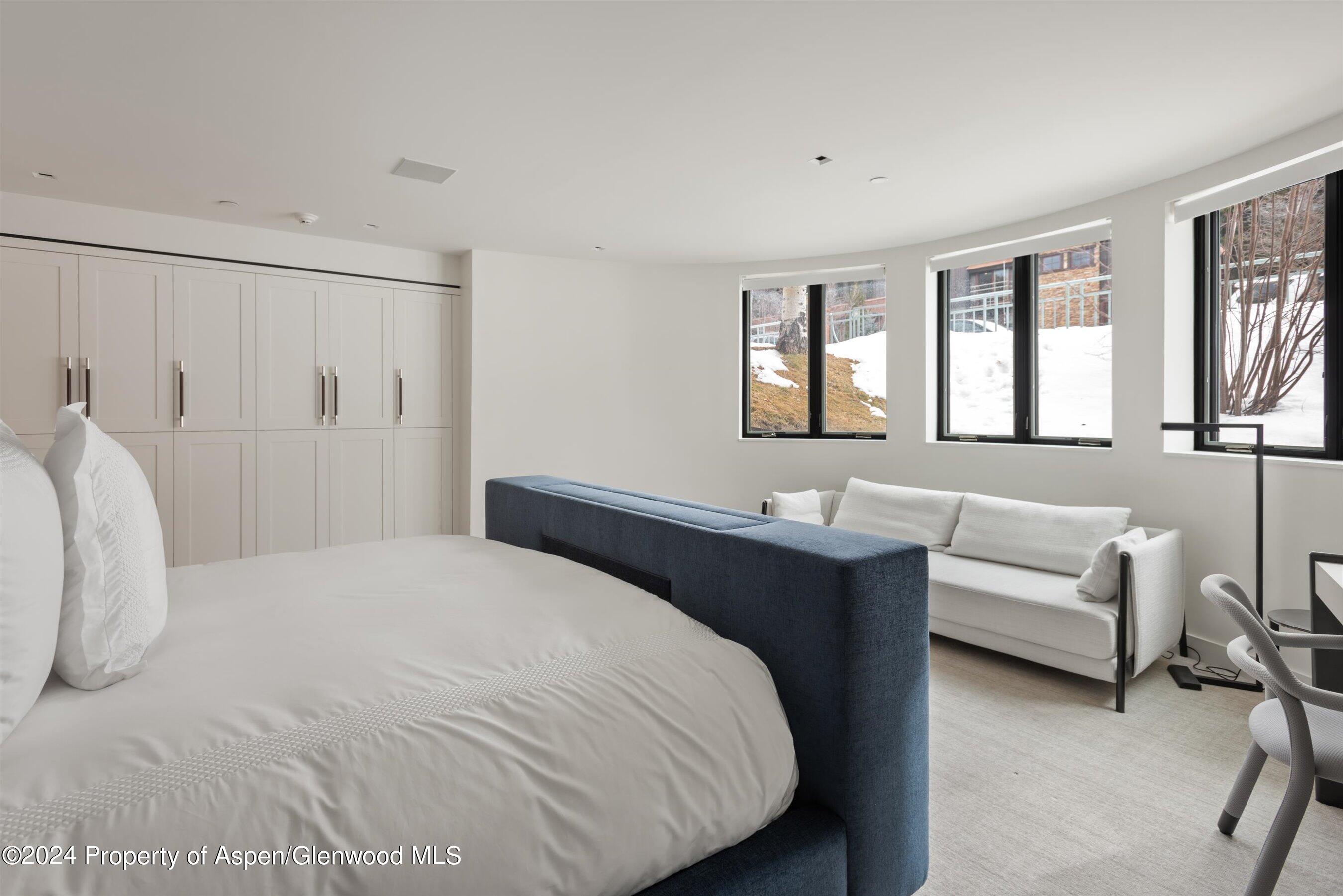 708 E Hopkins Avenue Aspen CO 81611