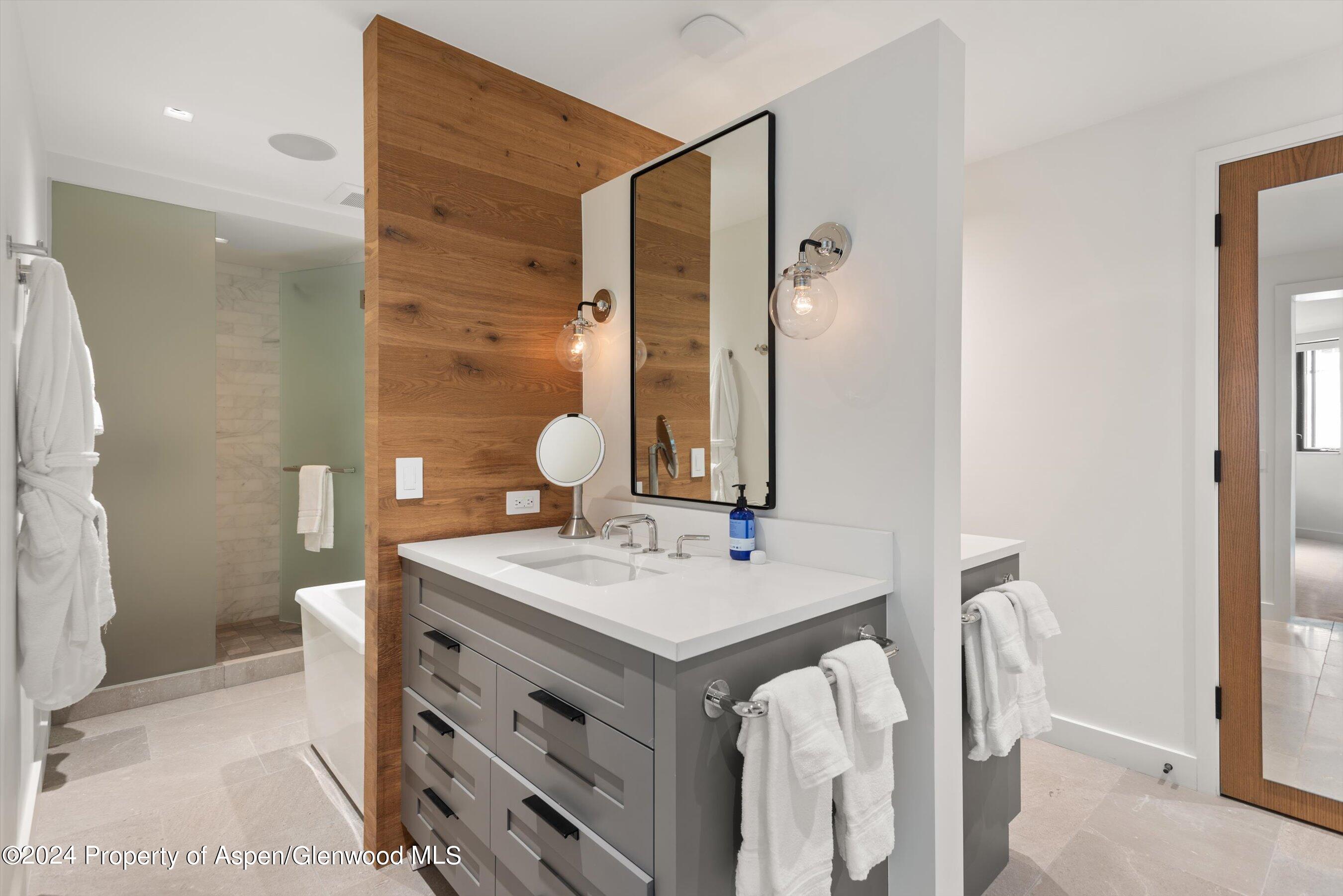 708 E Hopkins Avenue Aspen CO 81611