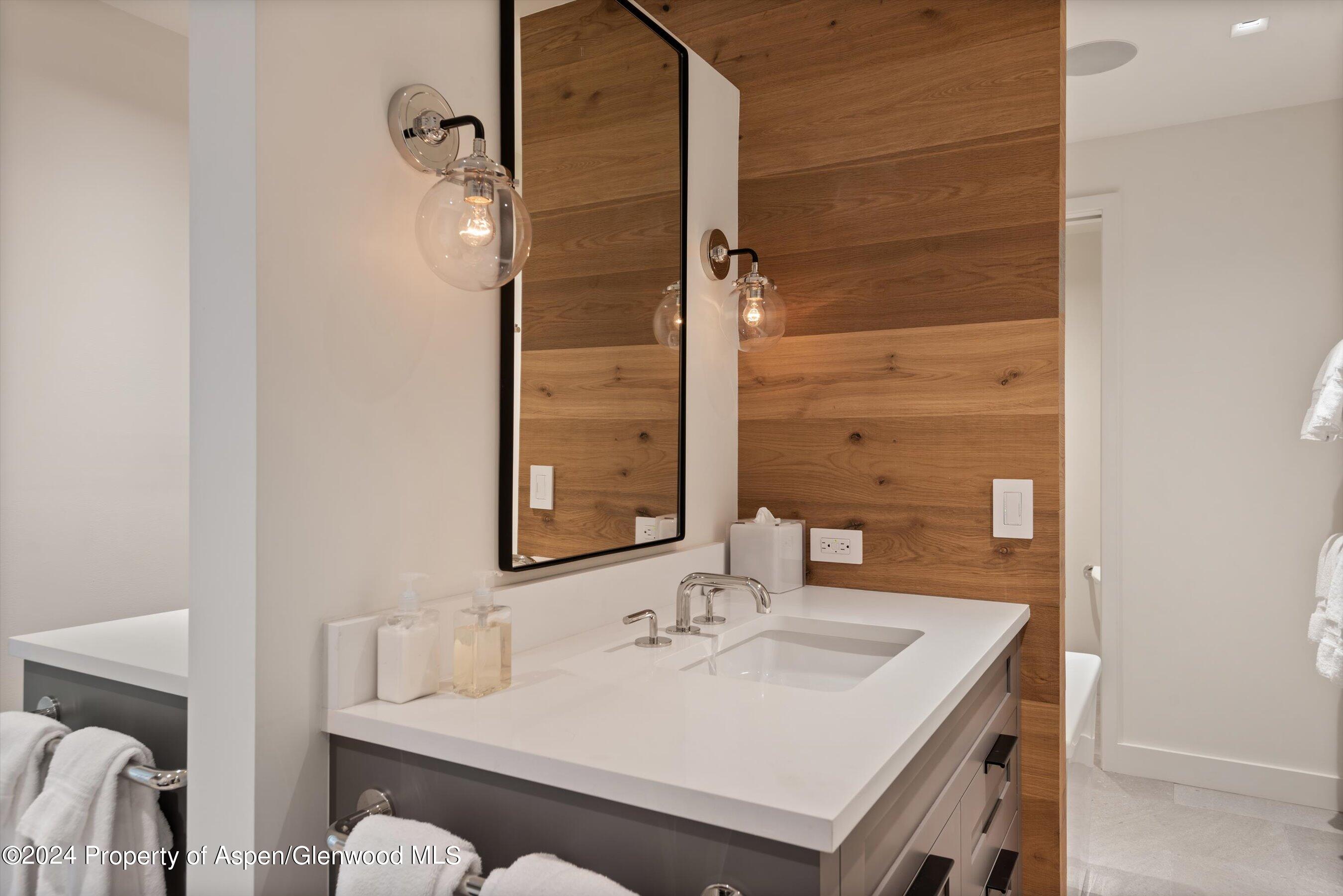 708 E Hopkins Avenue Aspen CO 81611