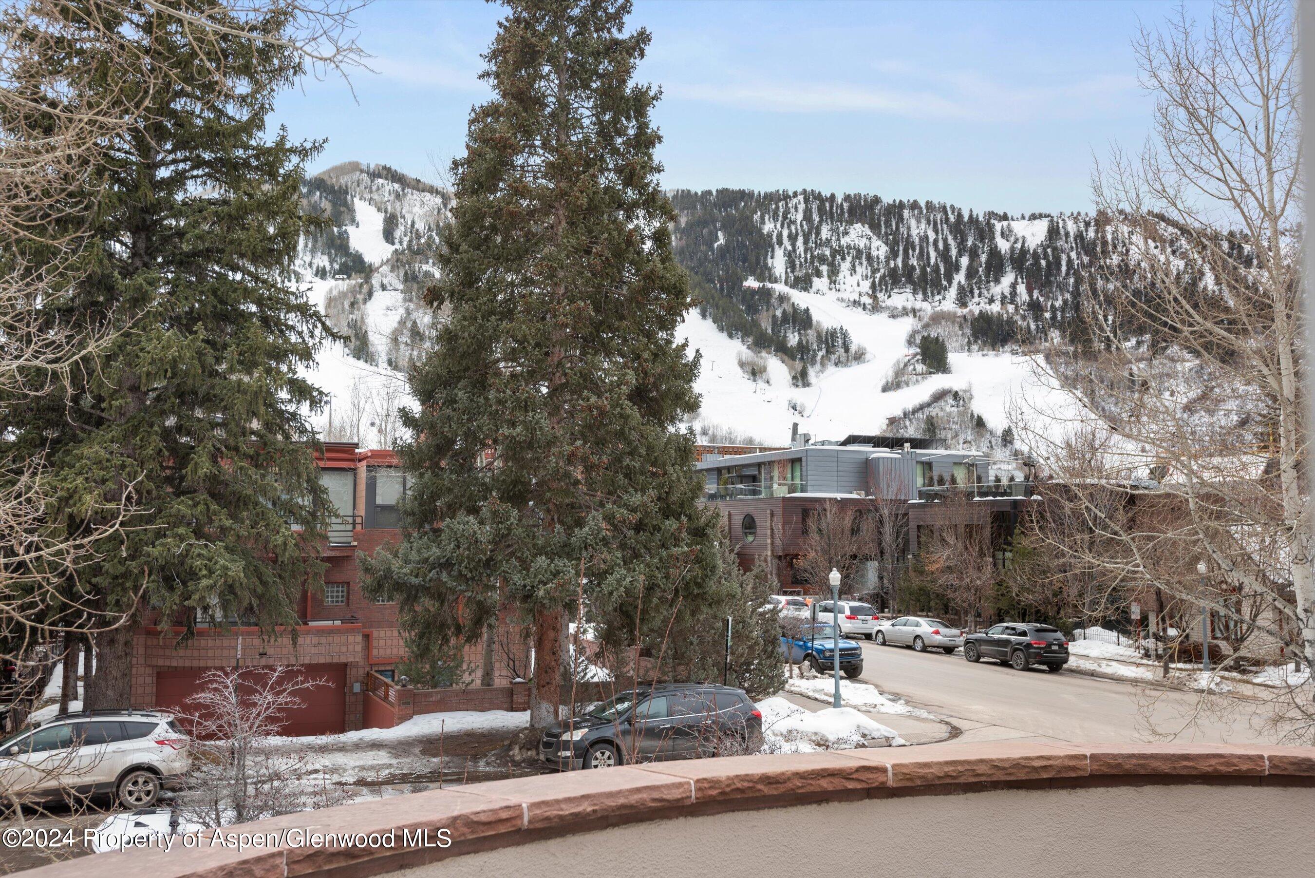 708 E Hopkins Avenue Aspen CO 81611