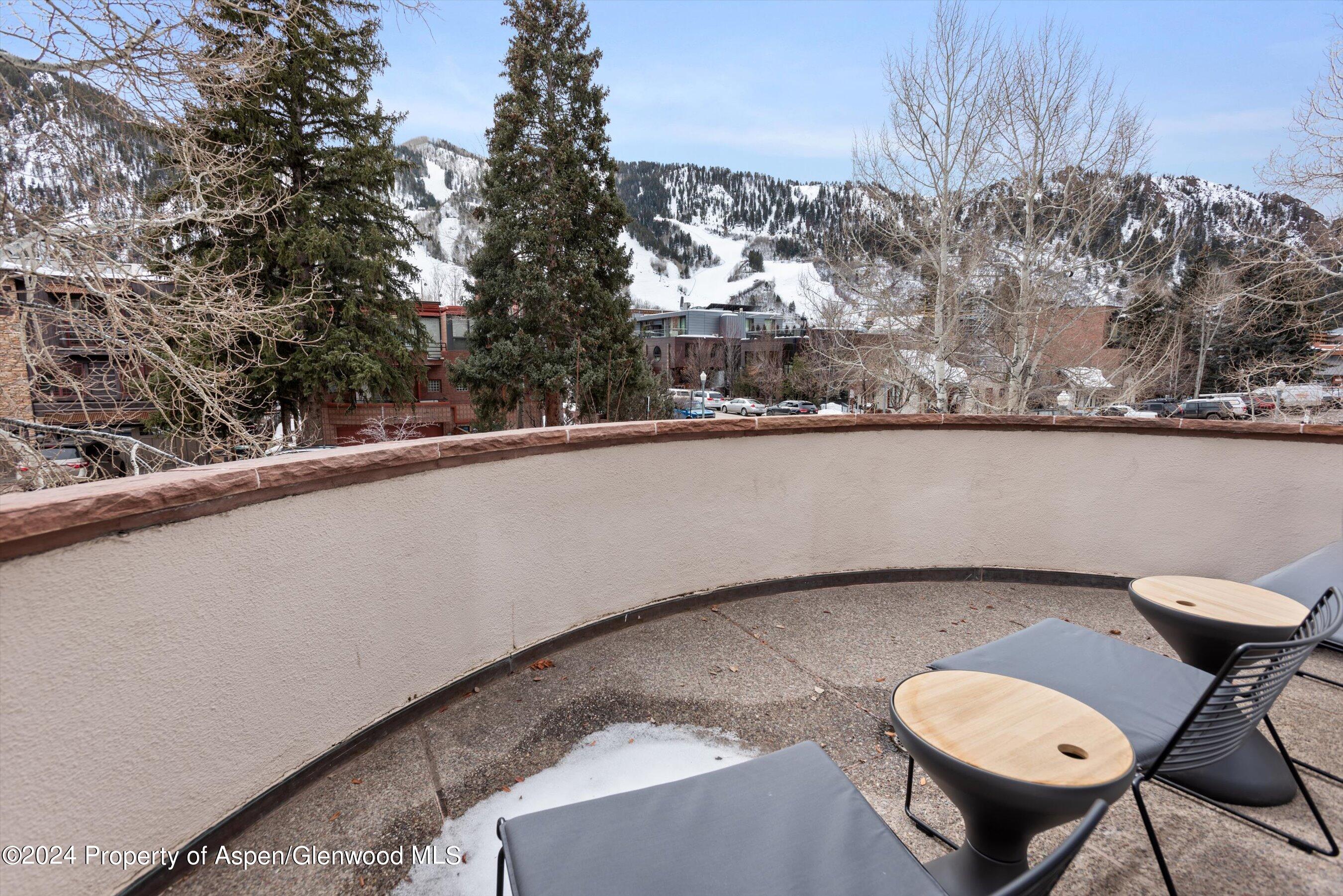 708 E Hopkins Avenue Aspen CO 81611