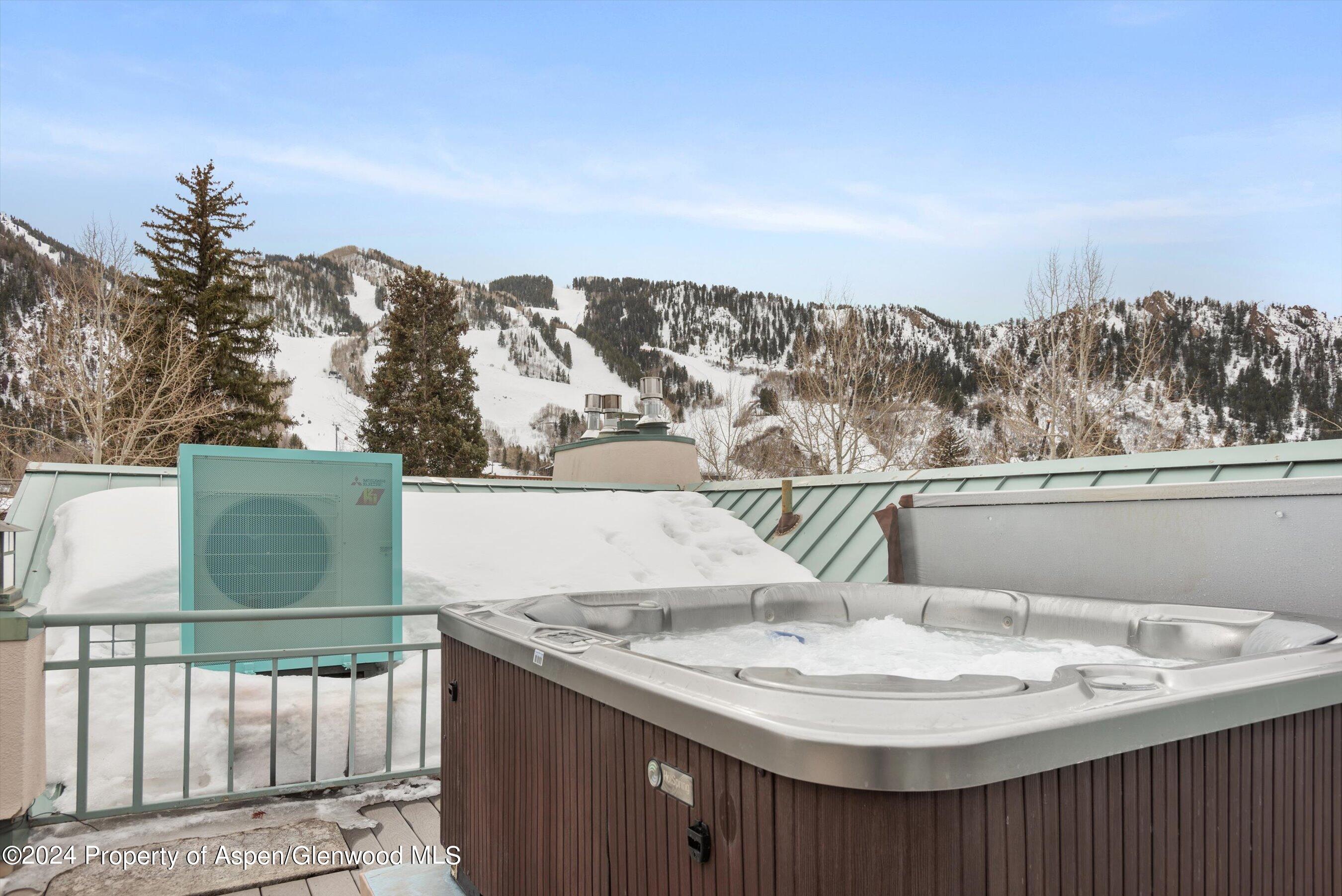 708 E Hopkins Avenue Aspen CO 81611