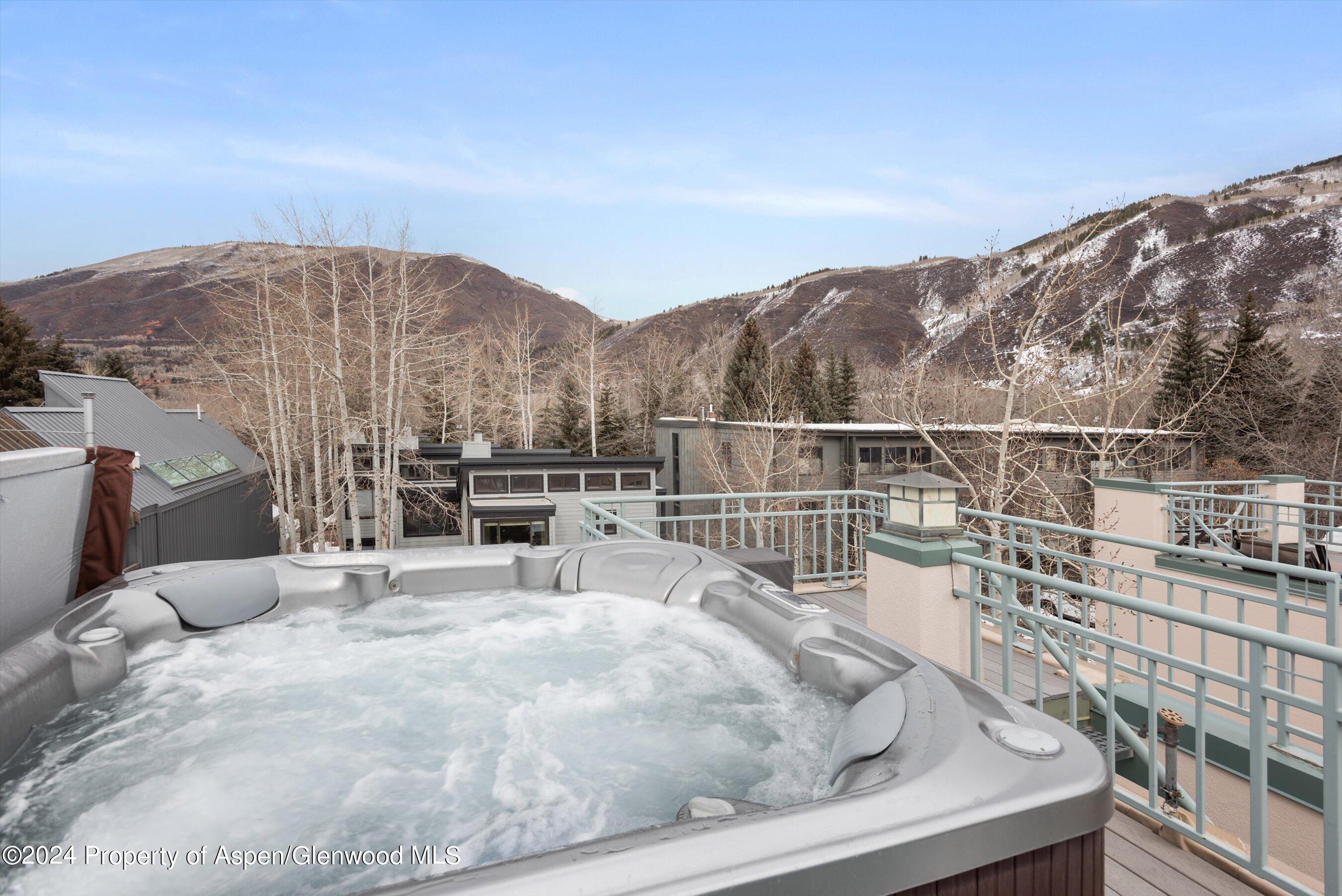 708 E Hopkins Avenue Aspen CO 81611