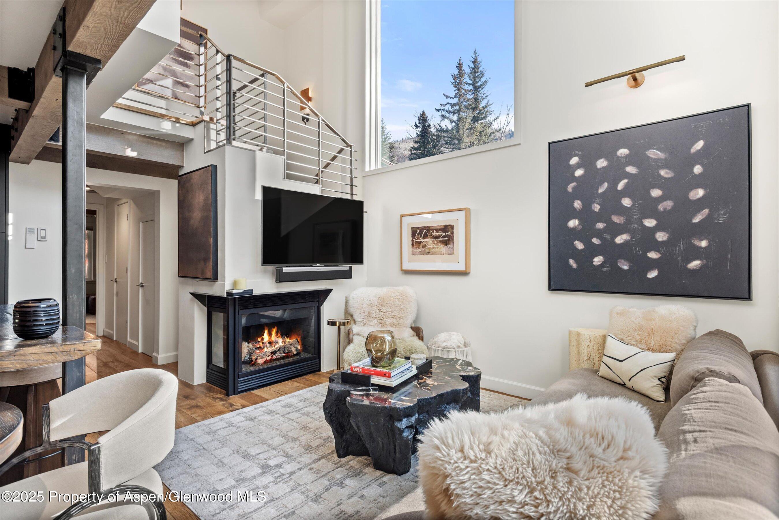 1024 E Cooper Avenue Aspen CO 81611