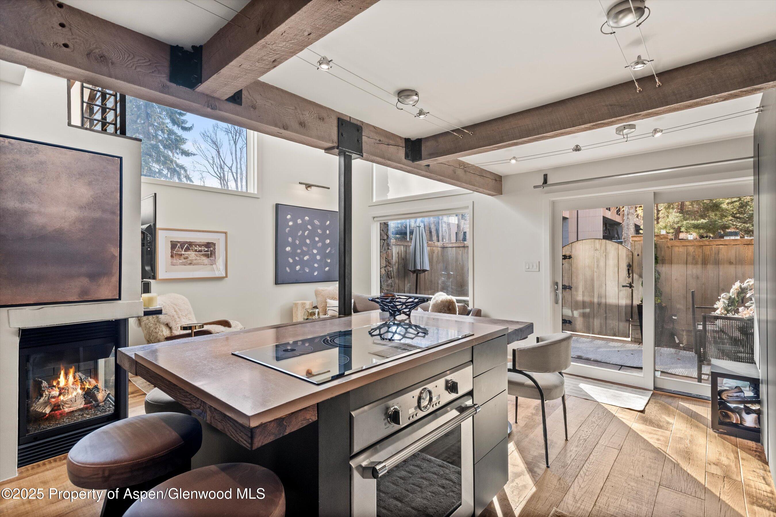 1024 E Cooper Avenue Aspen CO 81611