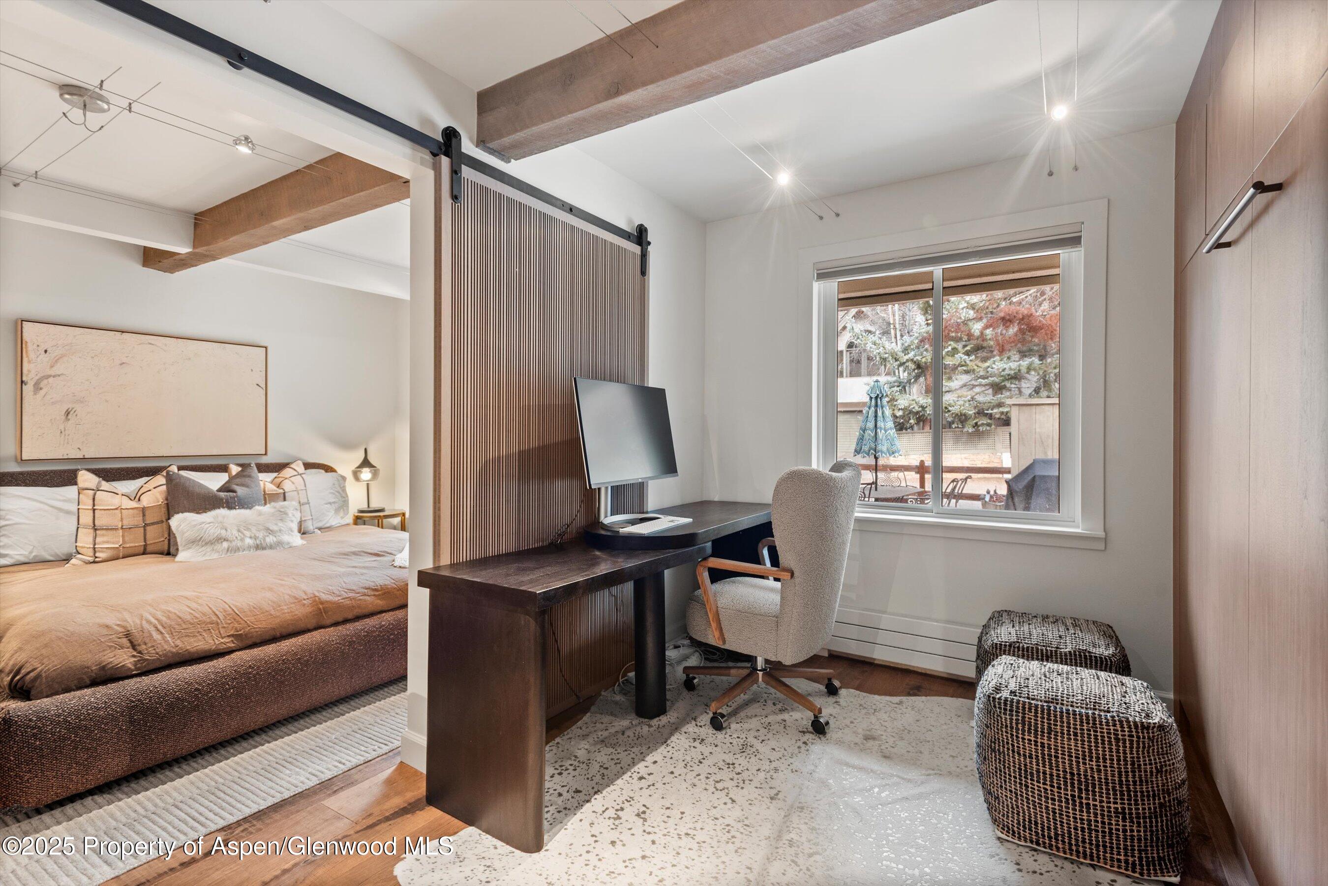 1024 E Cooper Avenue Aspen CO 81611