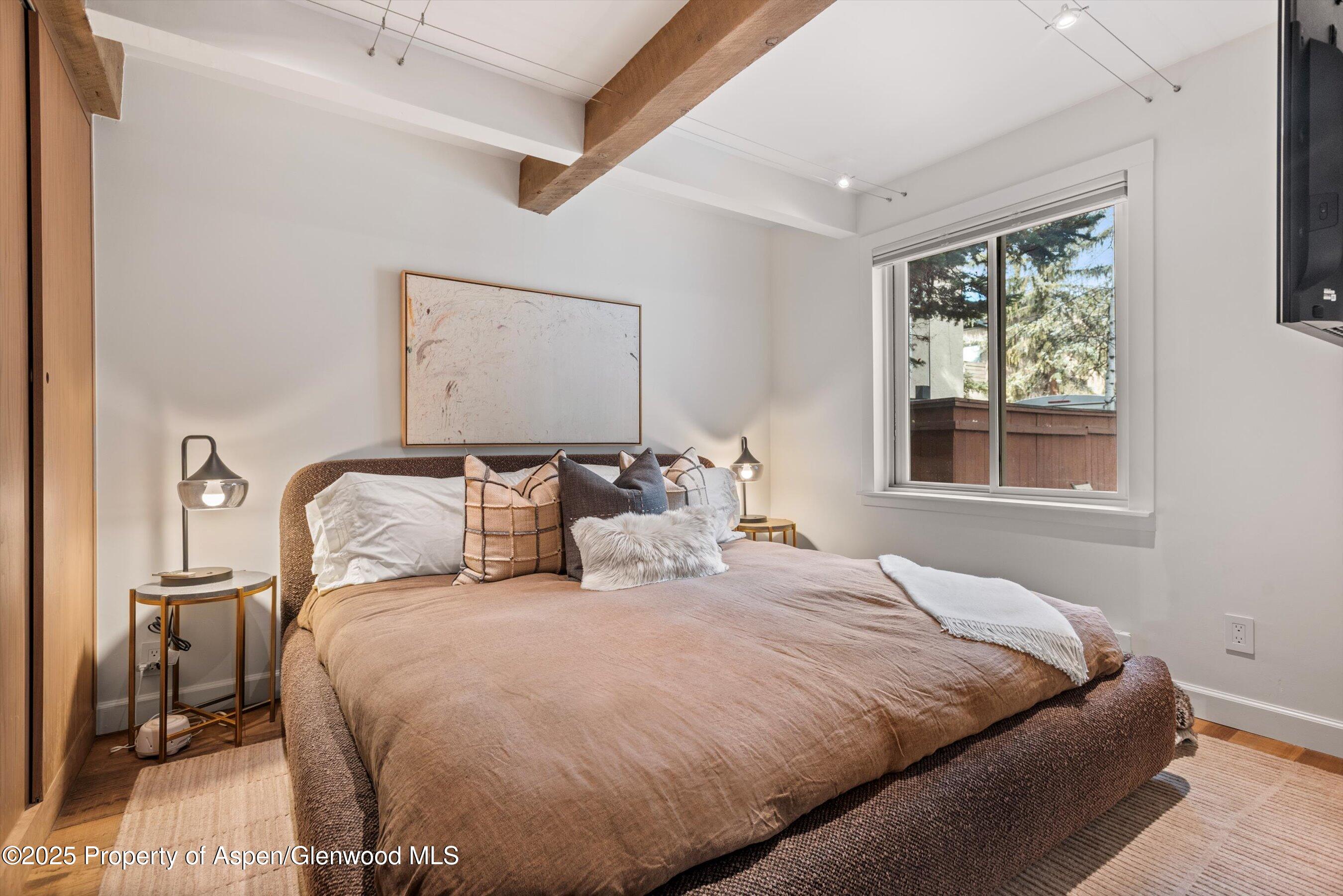 1024 E Cooper Avenue Aspen CO 81611