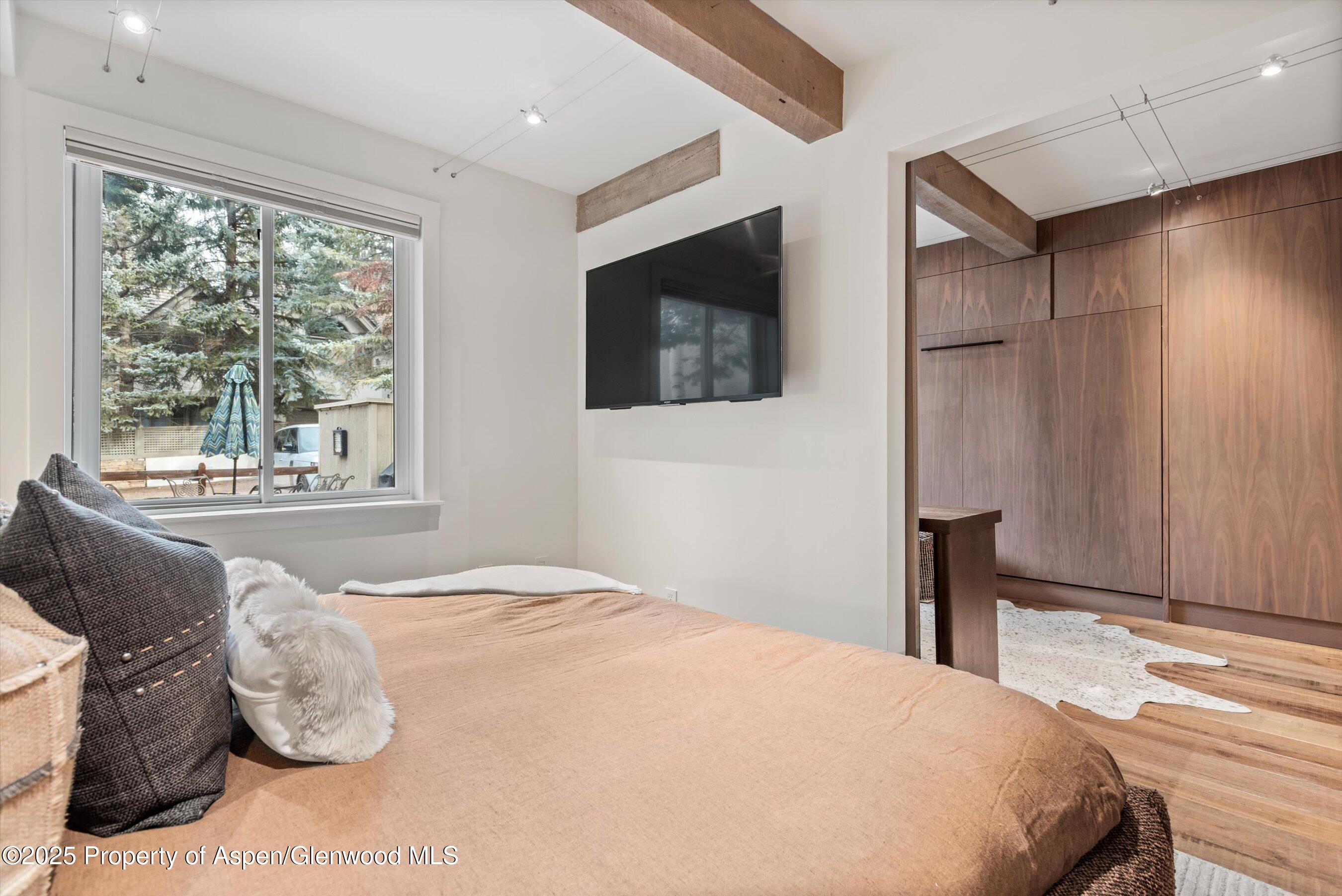 1024 E Cooper Avenue Aspen CO 81611