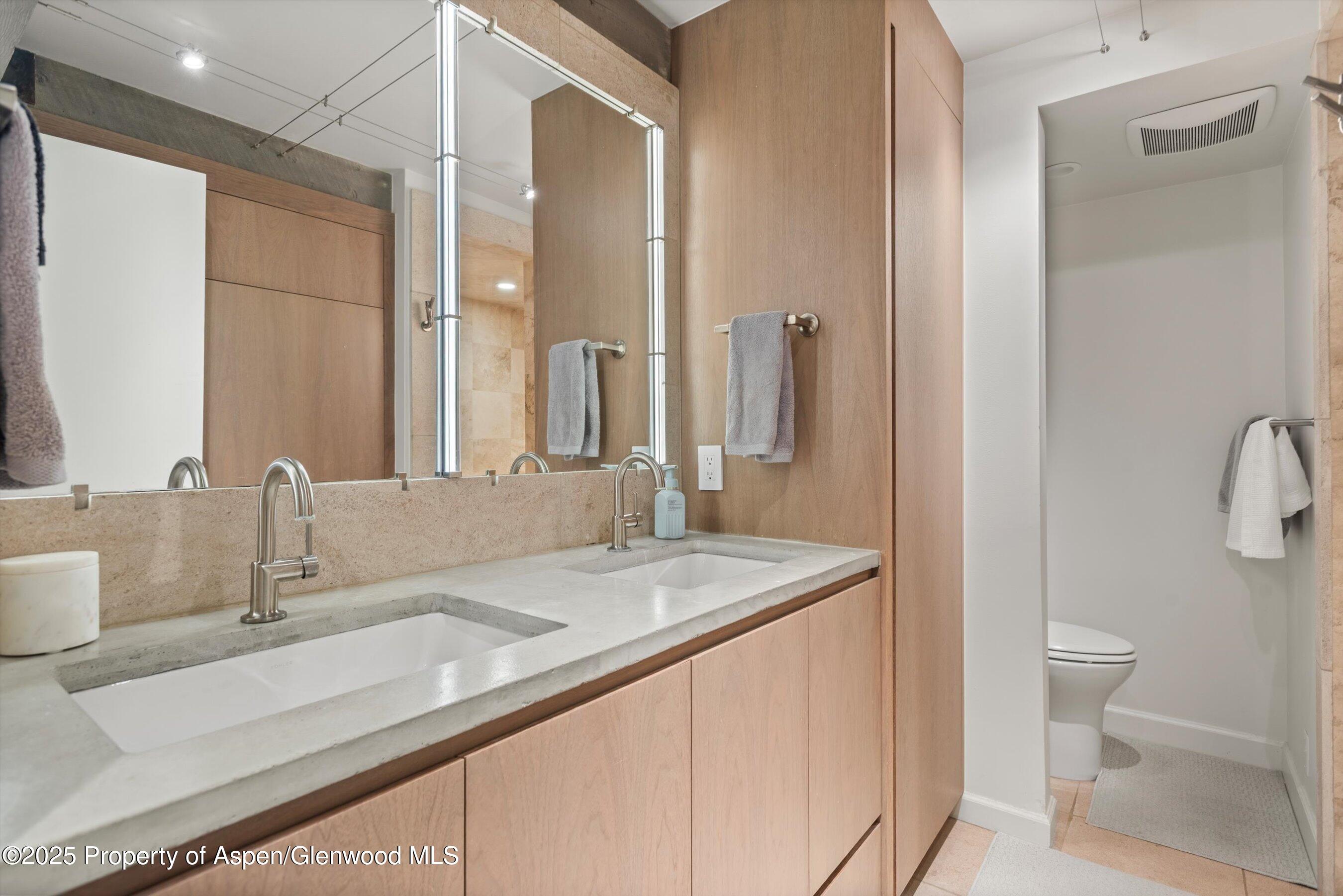 1024 E Cooper Avenue Aspen CO 81611