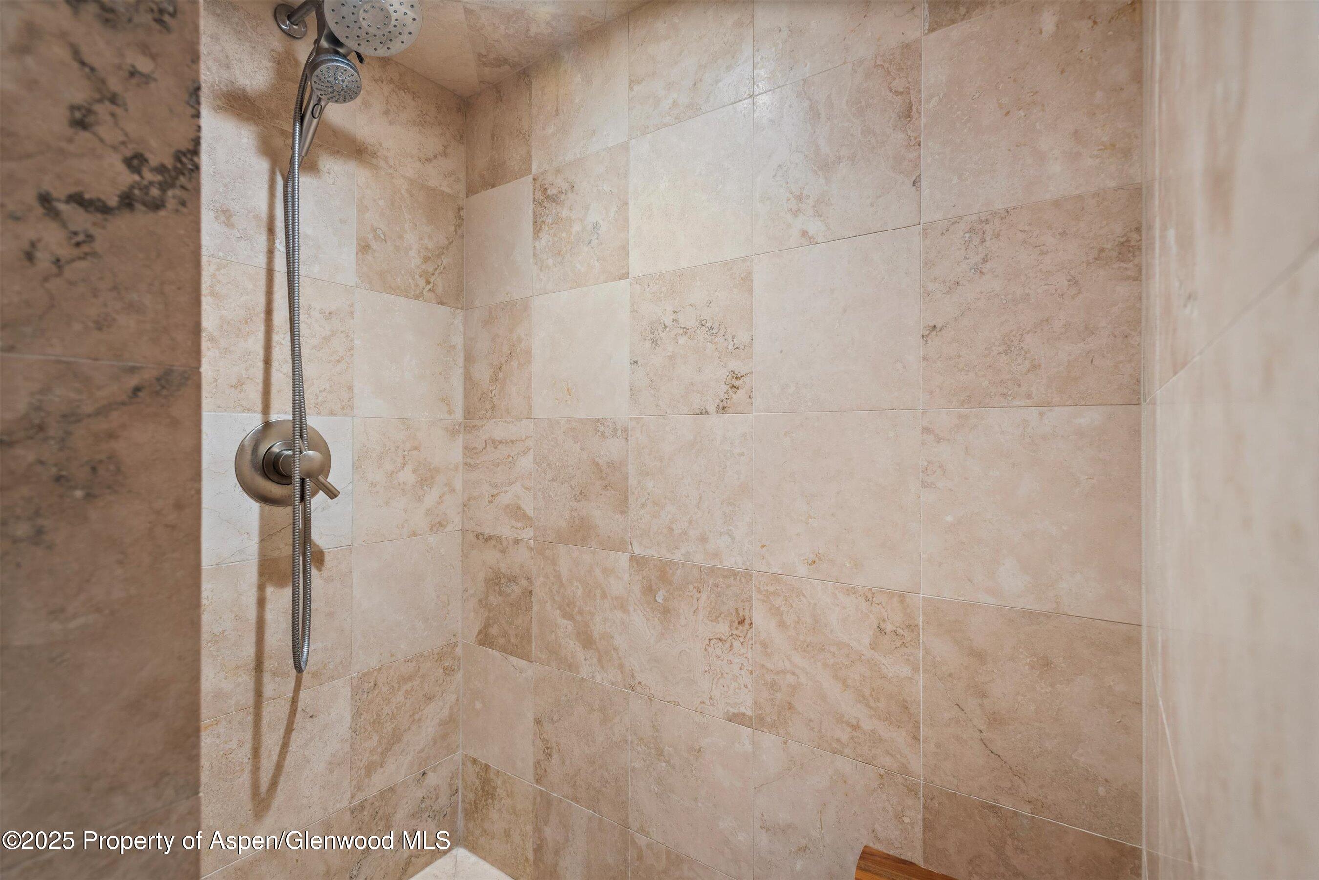 1024 E Cooper Avenue Aspen CO 81611