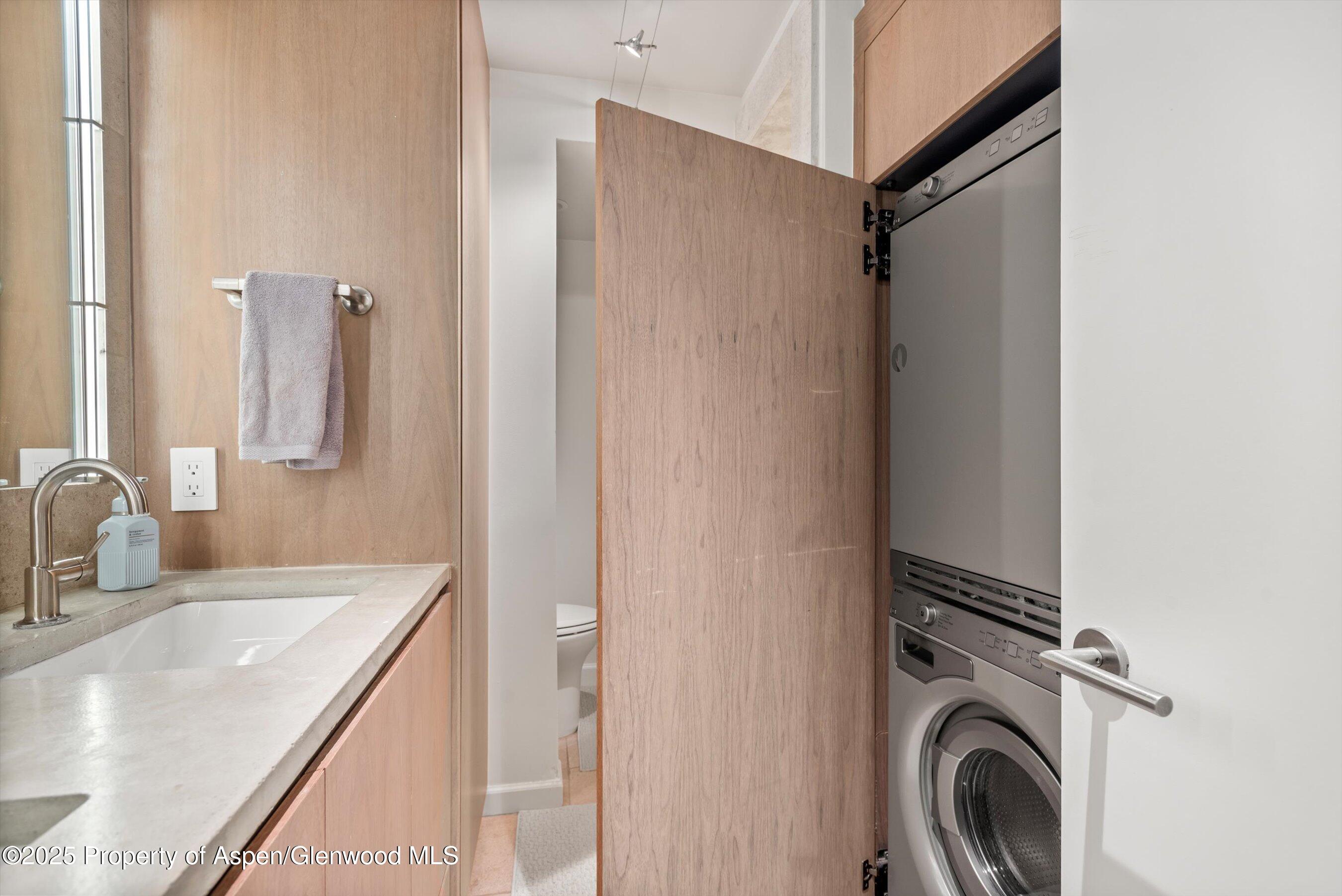 1024 E Cooper Avenue Aspen CO 81611