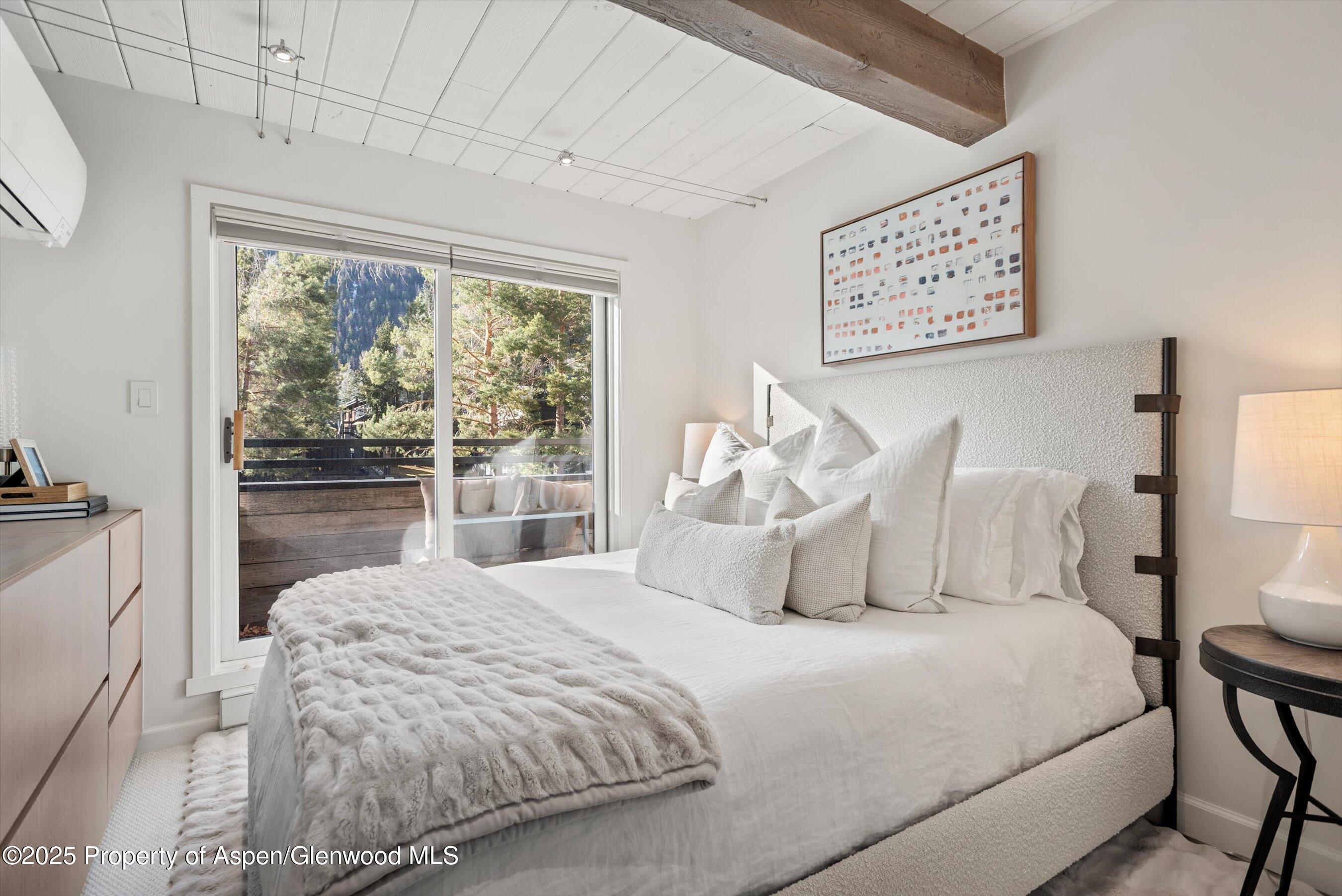 1024 E Cooper Avenue Aspen CO 81611