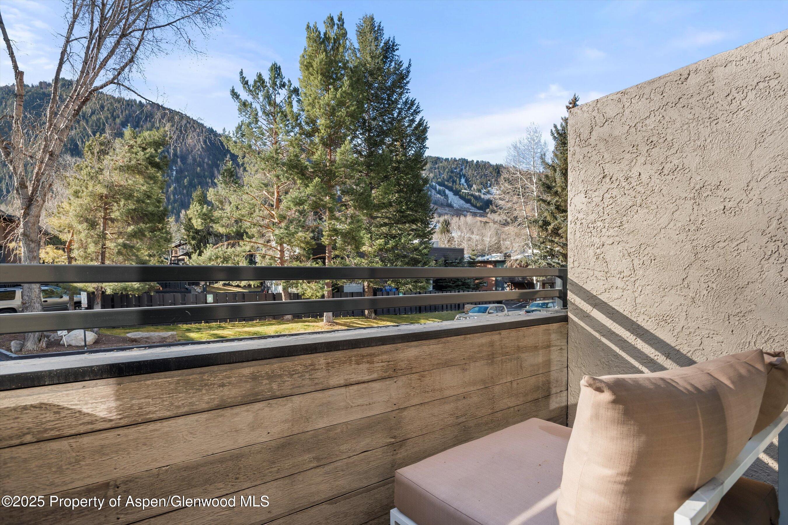 1024 E Cooper Avenue Aspen CO 81611