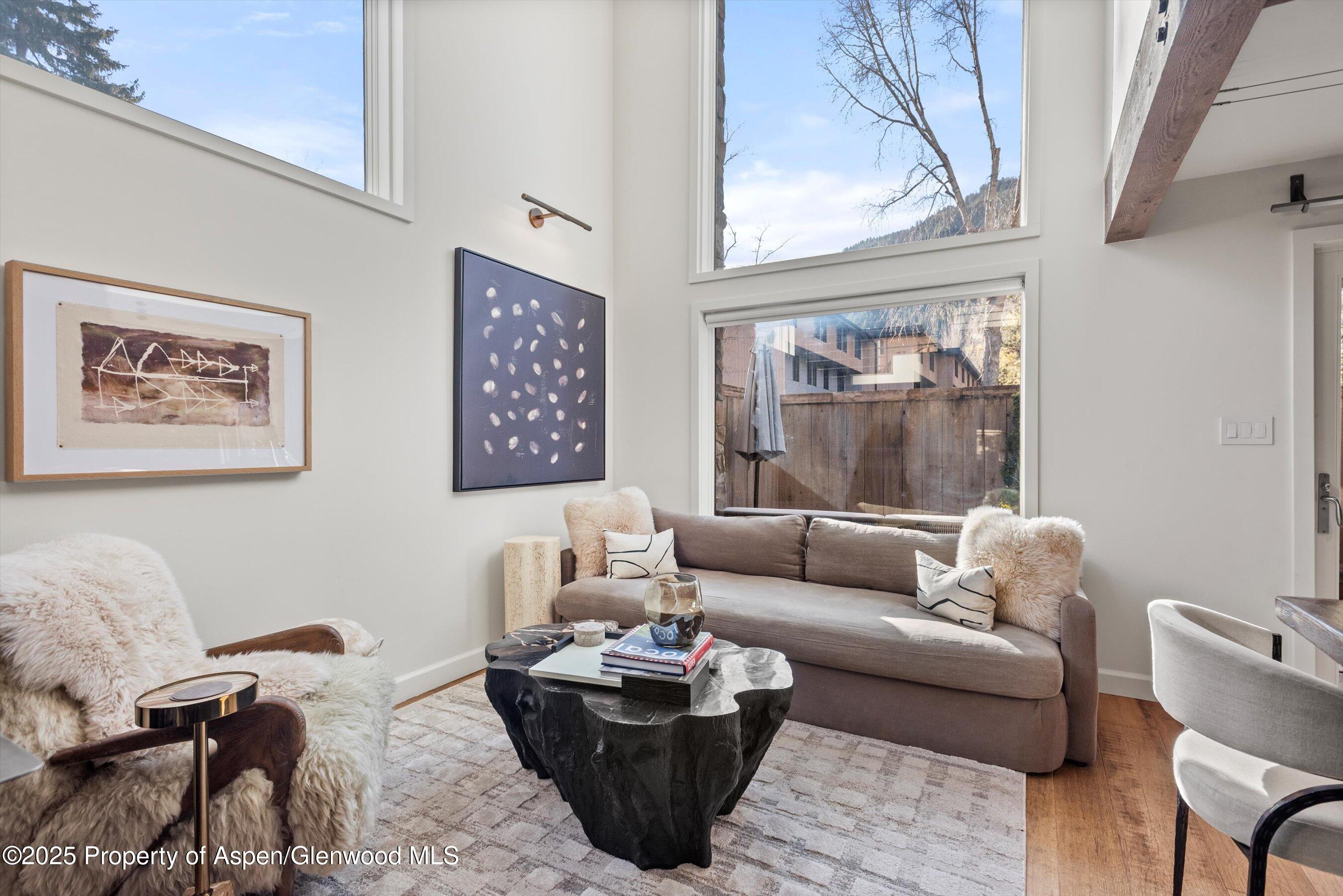 1024 E Cooper Avenue Aspen CO 81611