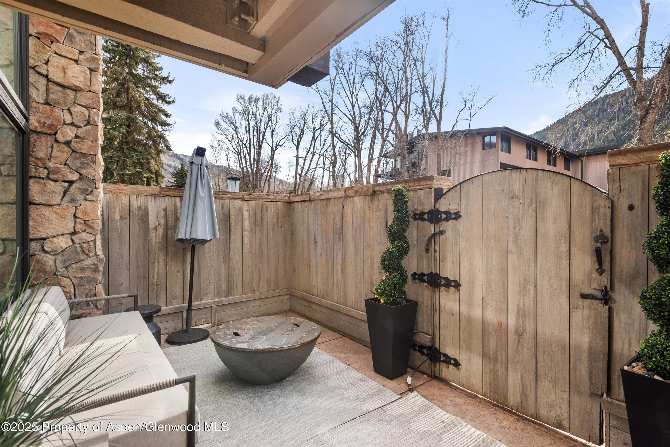 1024 E Cooper Avenue Aspen CO 81611