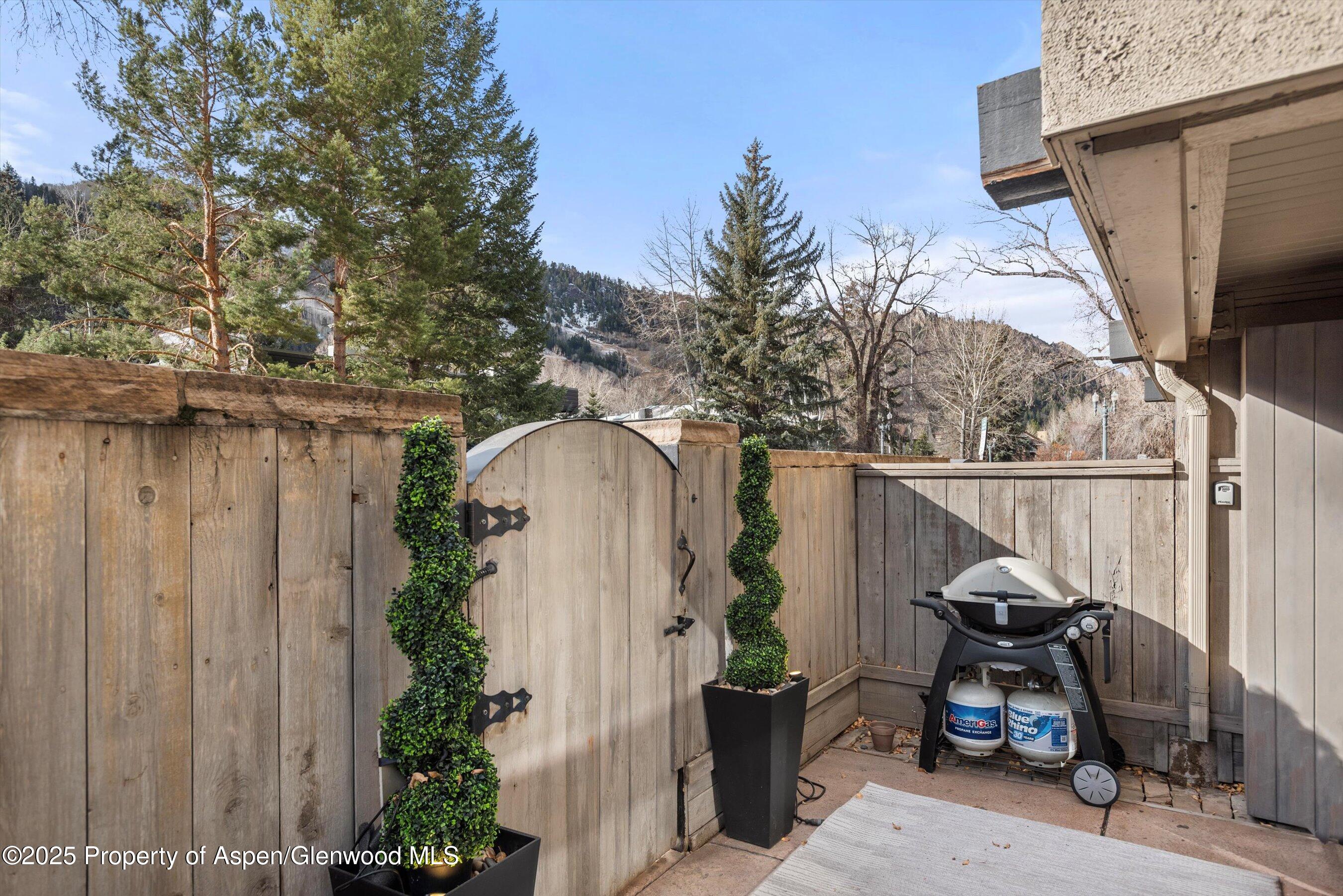 1024 E Cooper Avenue Aspen CO 81611
