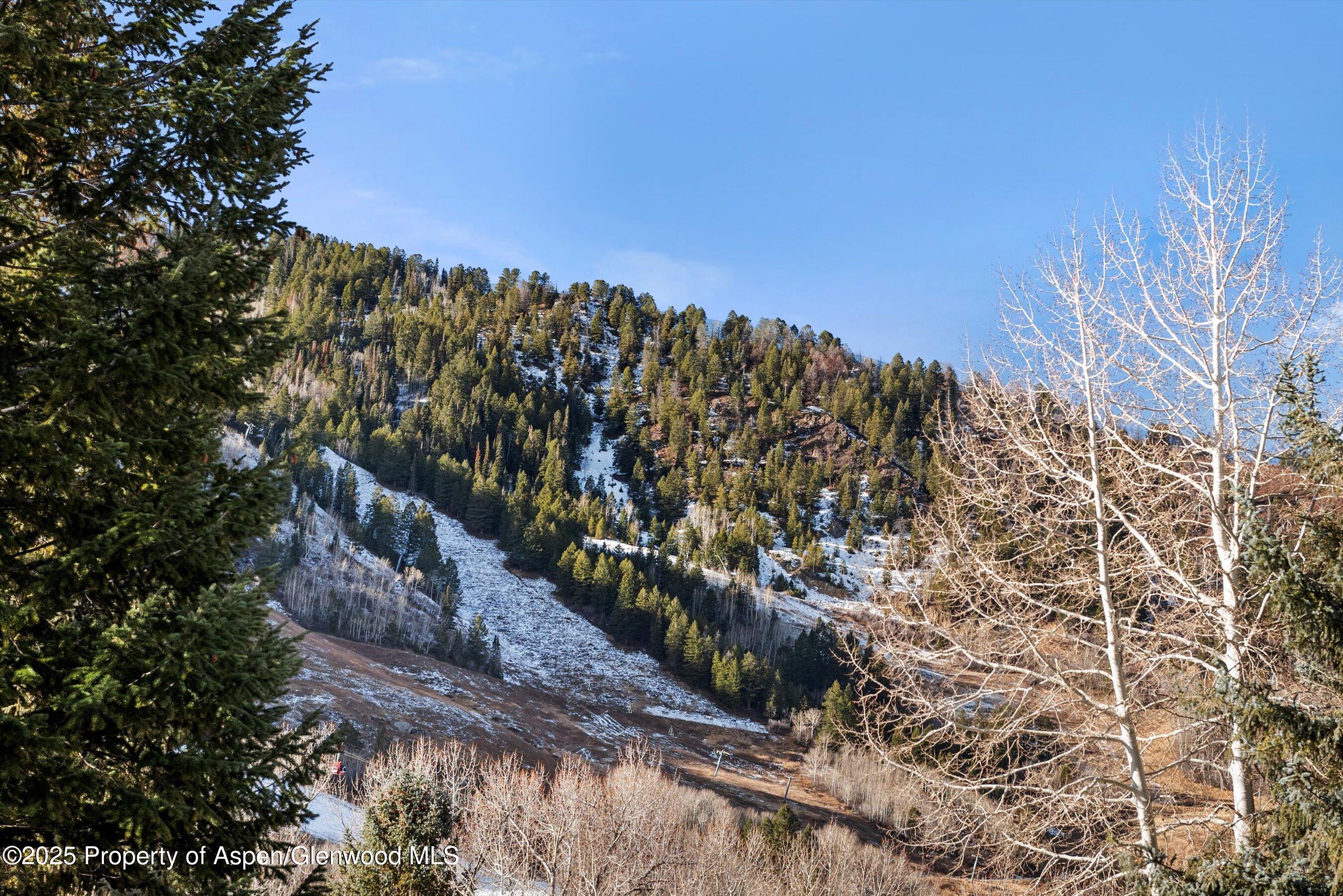 1024 E Cooper Avenue Aspen CO 81611