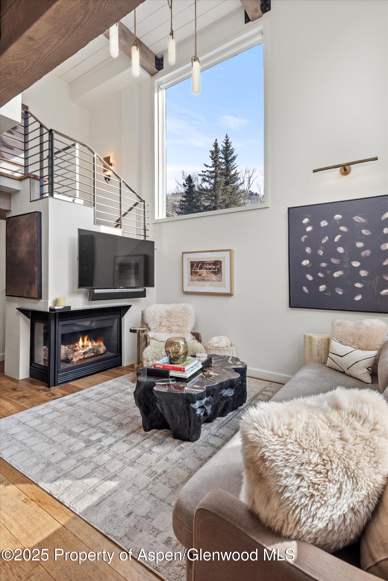 1024 E Cooper Avenue Aspen CO 81611