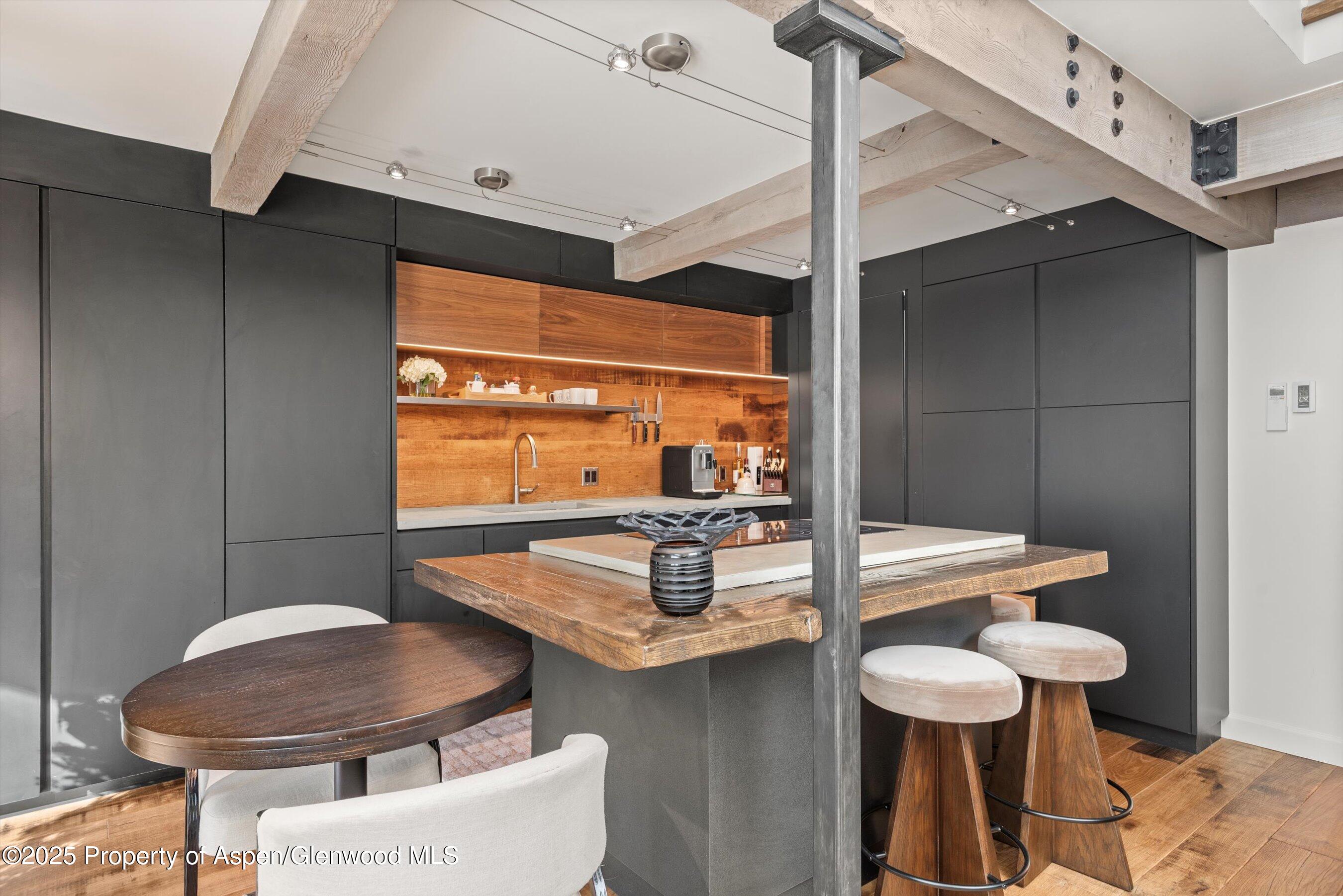 1024 E Cooper Avenue Aspen CO 81611