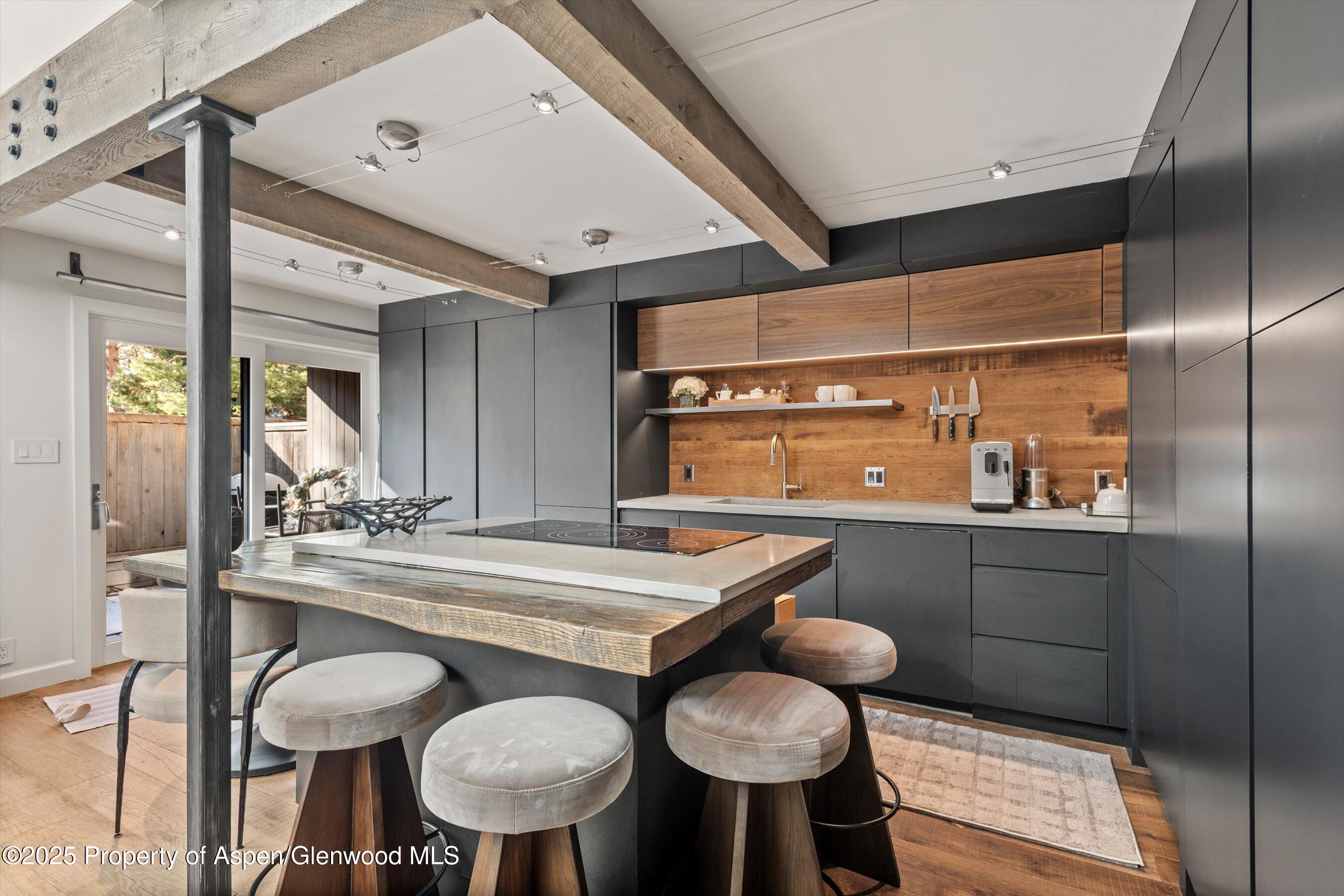 1024 E Cooper Avenue Aspen CO 81611