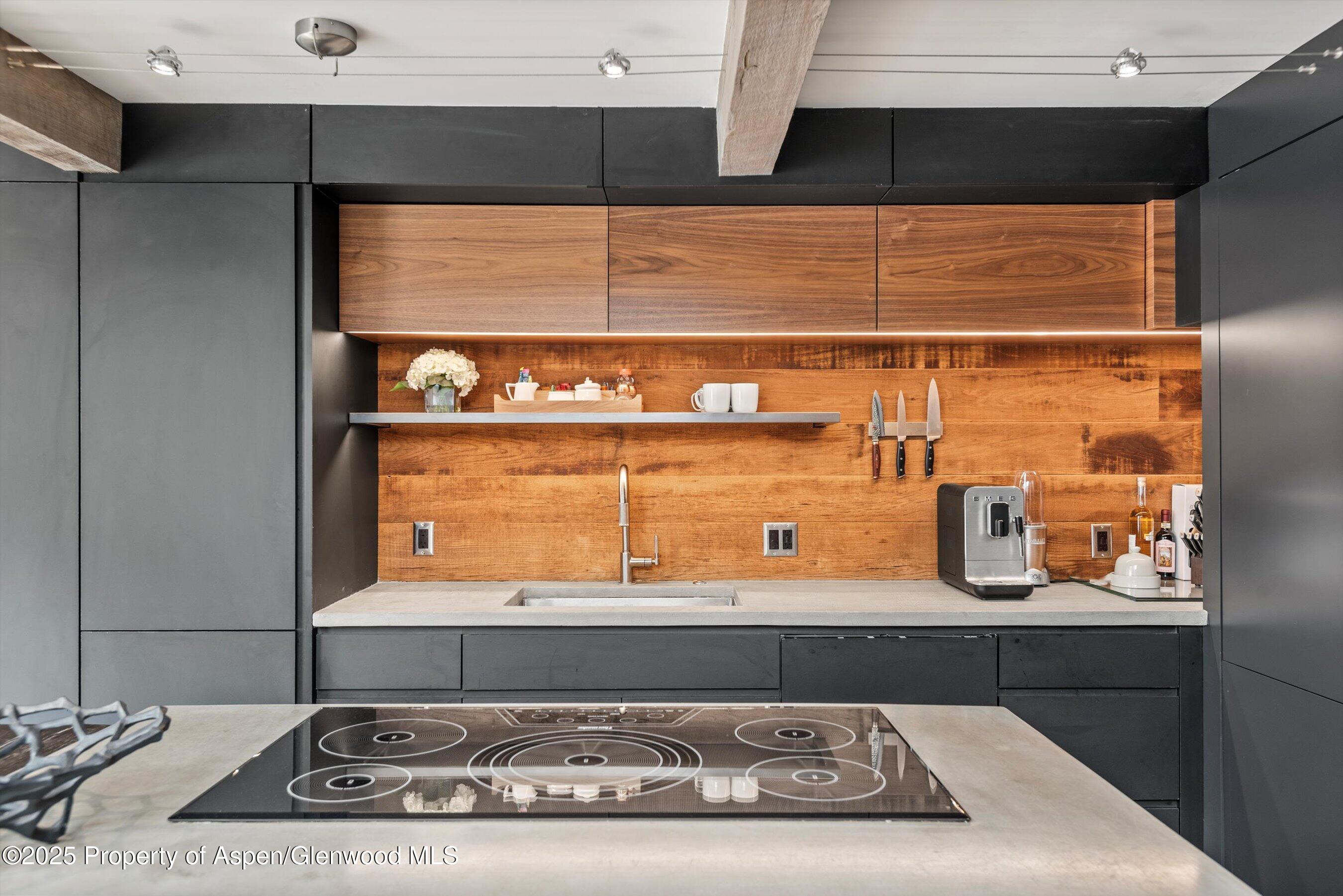 1024 E Cooper Avenue Aspen CO 81611