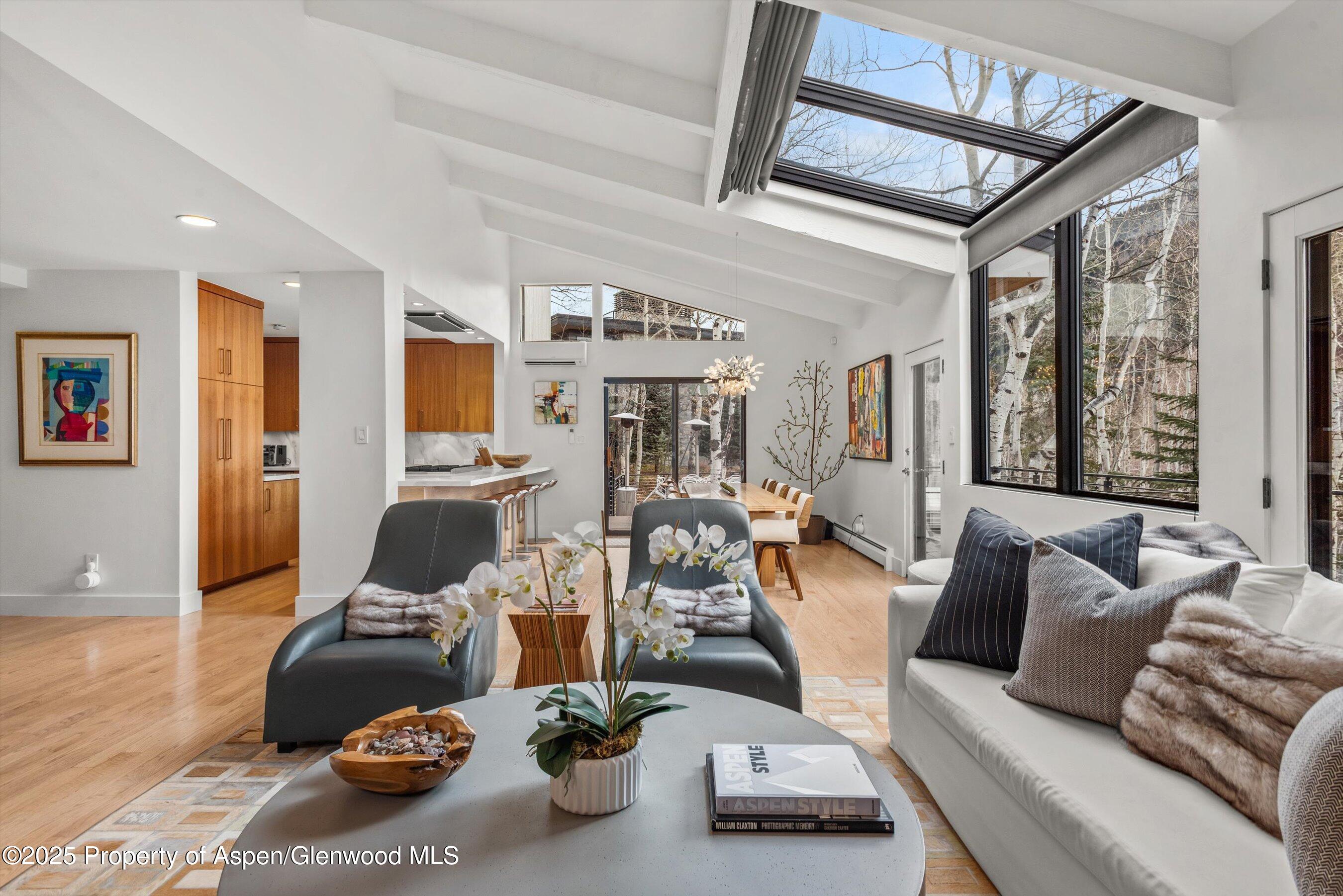 262 Eastwood Drive Aspen CO 81611