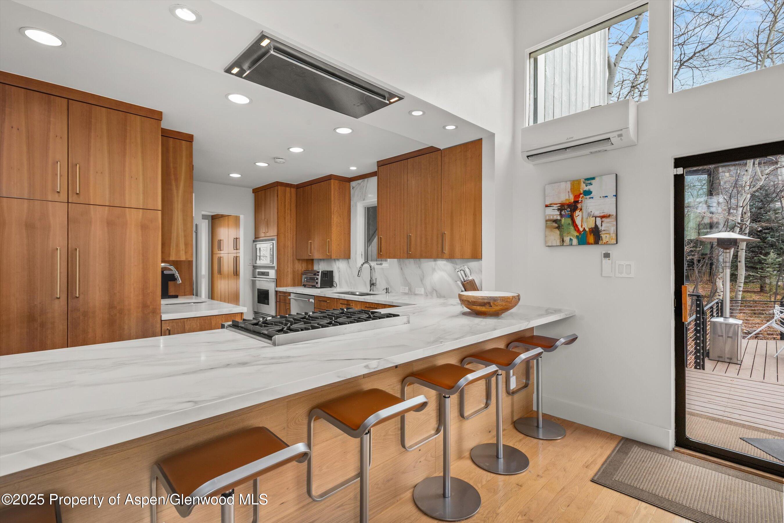 262 Eastwood Drive Aspen CO 81611