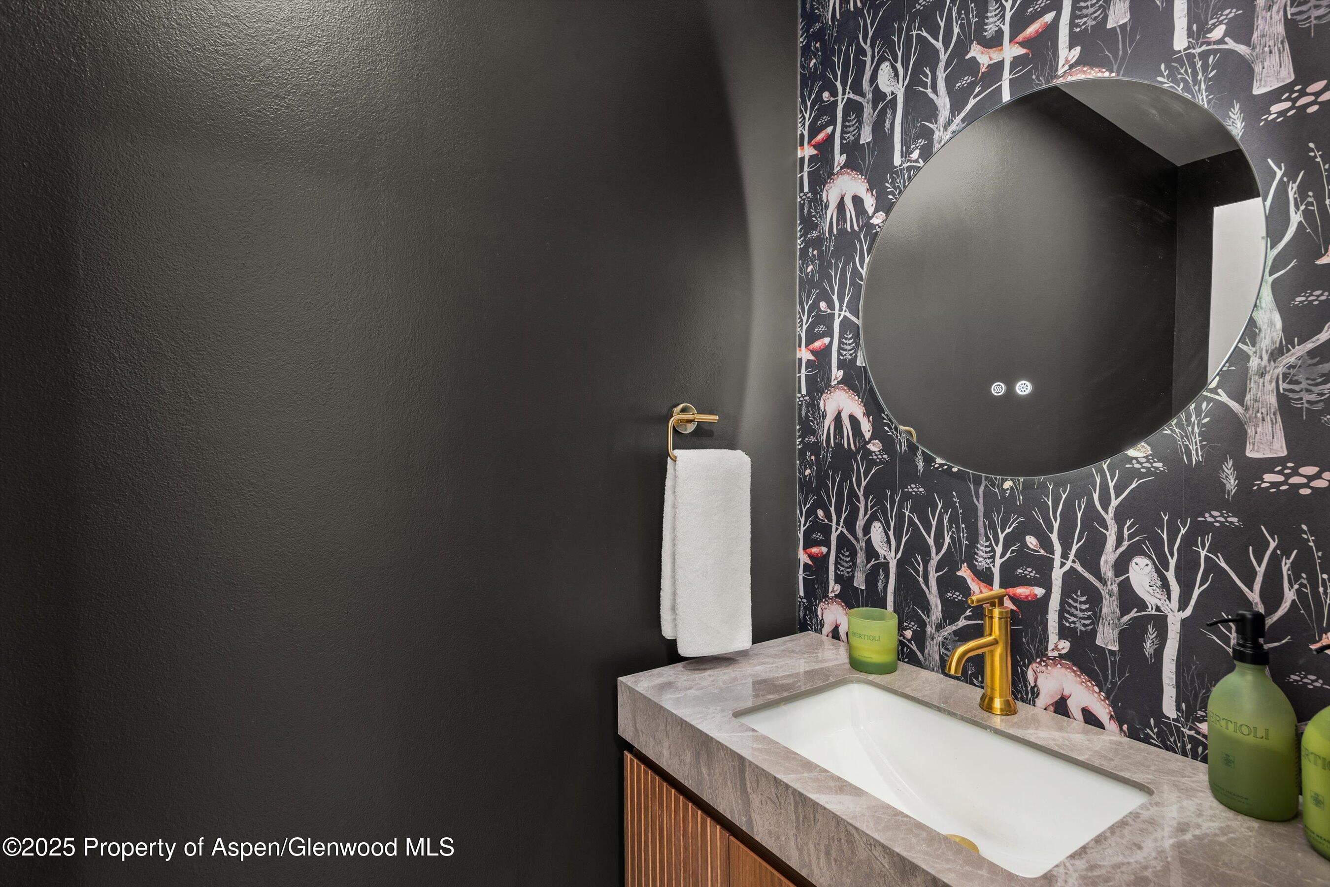 262 Eastwood Drive Aspen CO 81611