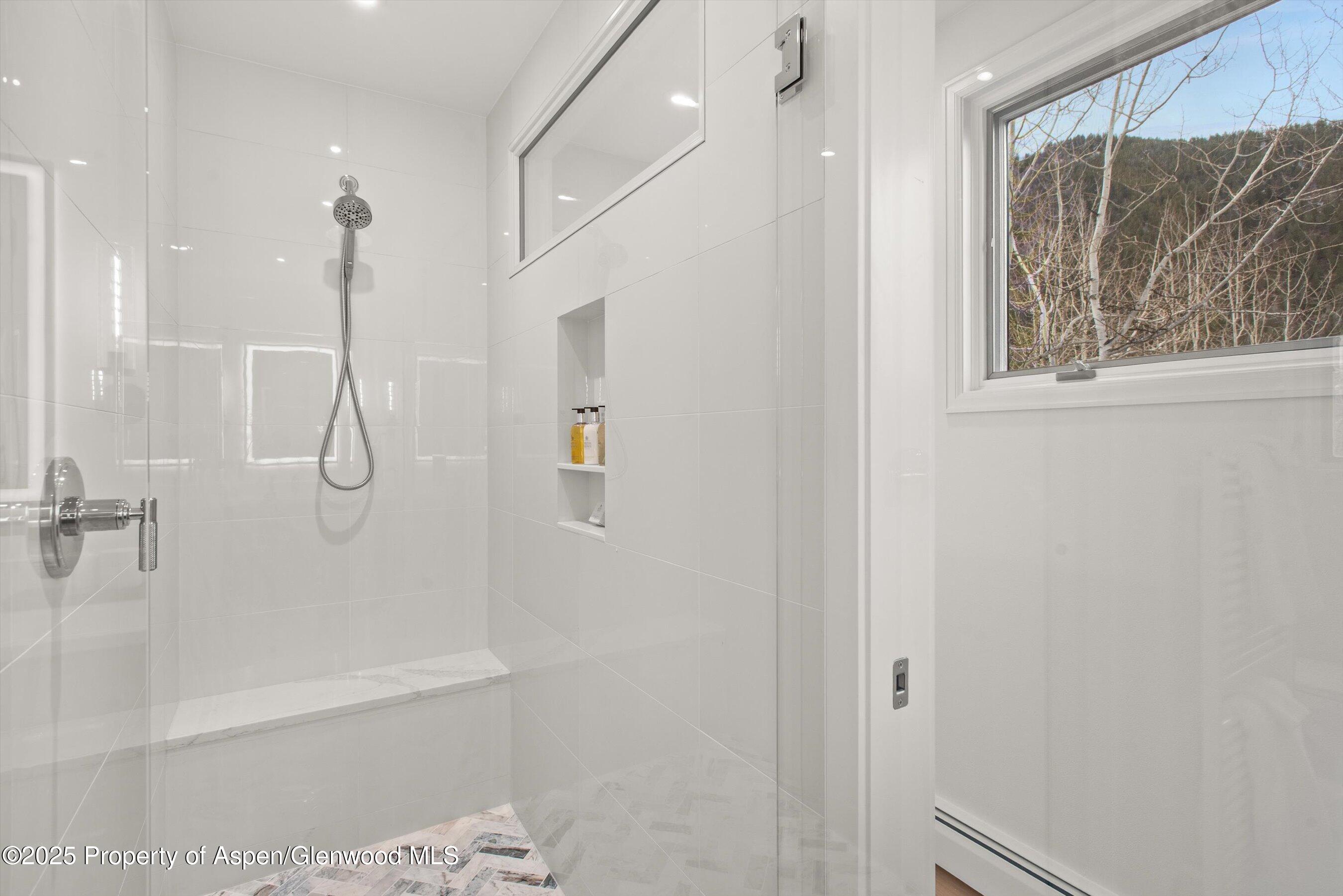 262 Eastwood Drive Aspen CO 81611