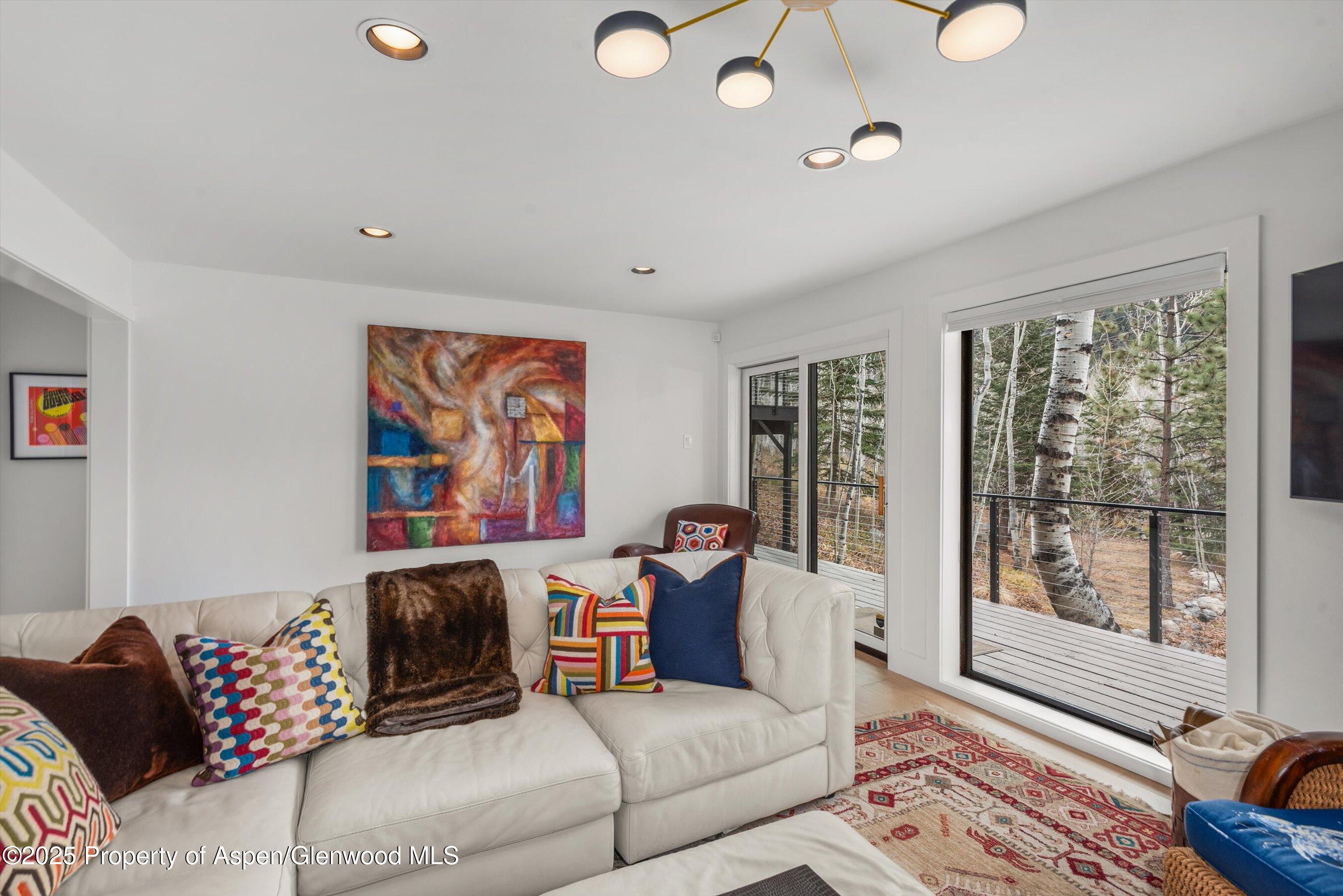 262 Eastwood Drive Aspen CO 81611