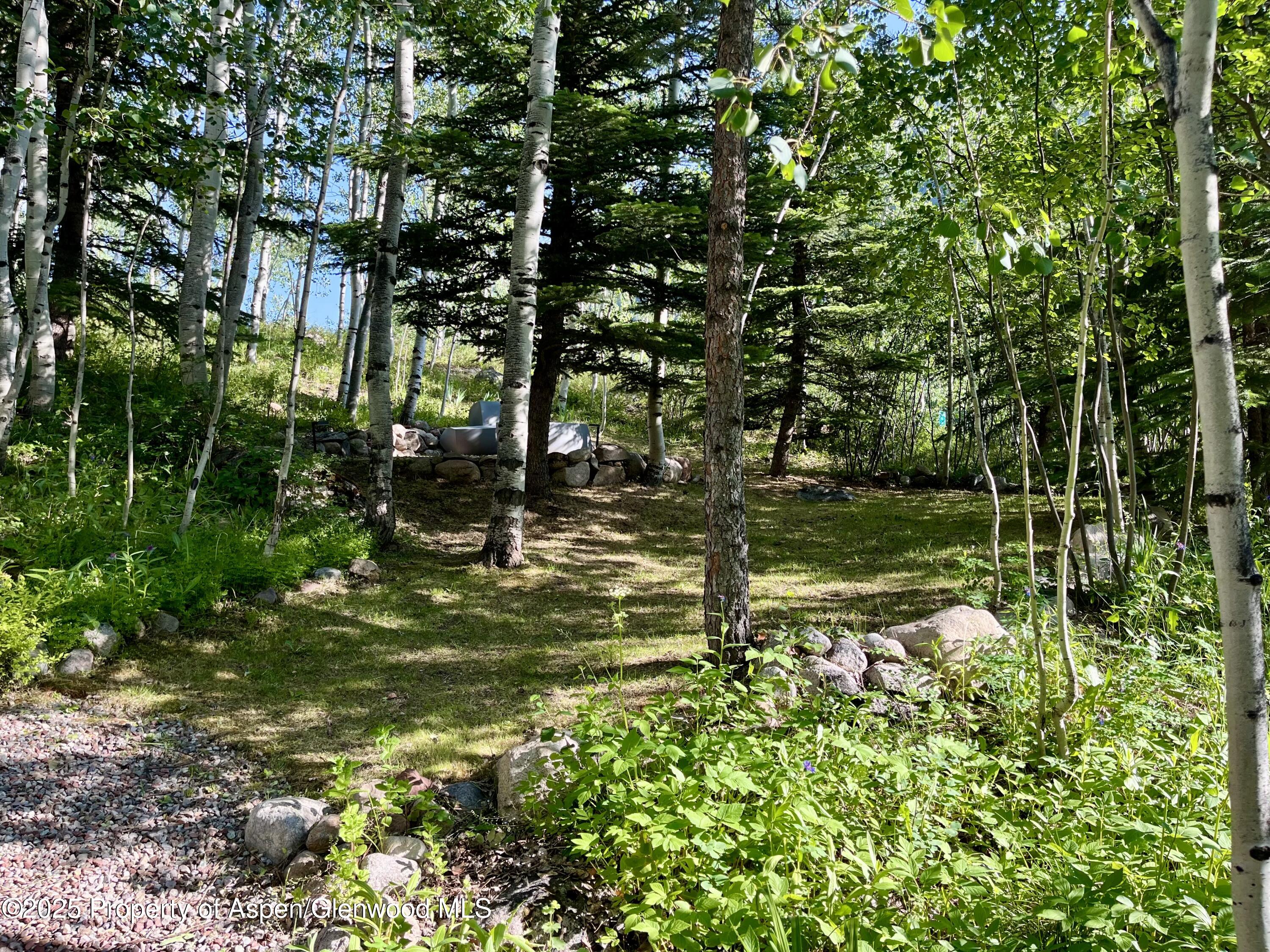 262 Eastwood Drive Aspen CO 81611