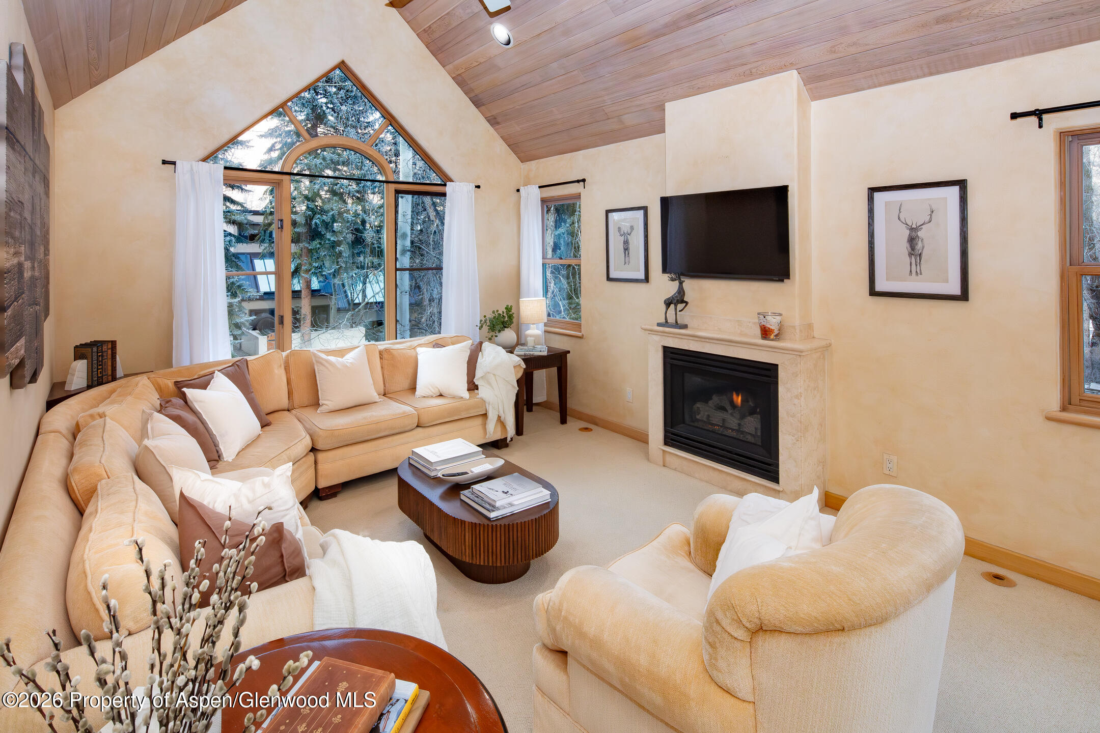 333 W Hopkins Avenue Aspen CO 81611