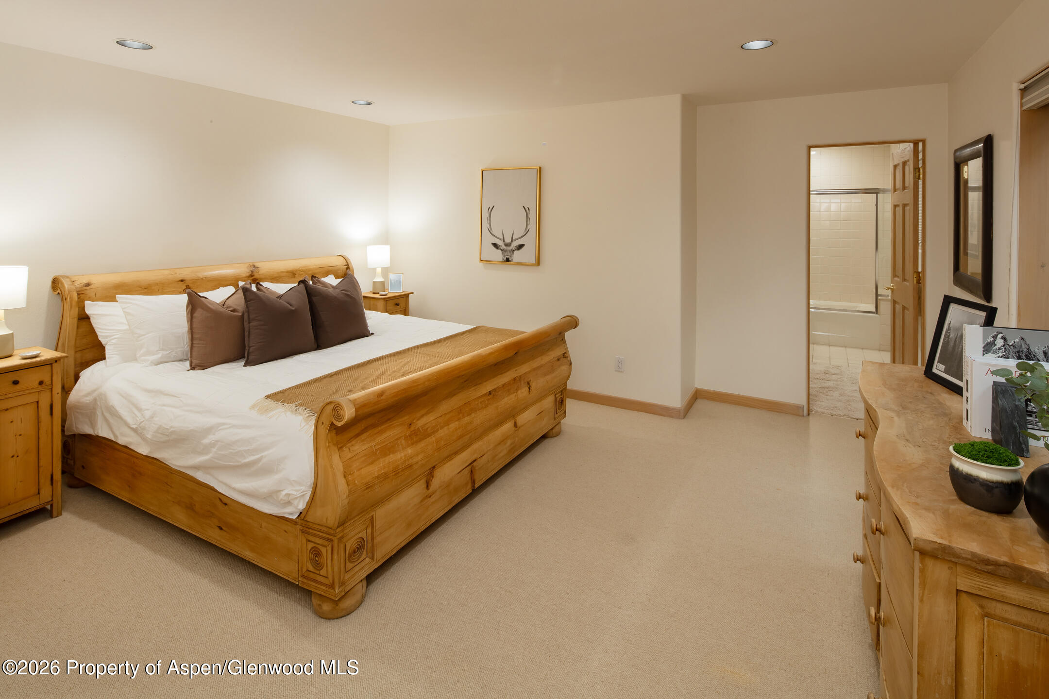 333 W Hopkins Avenue Aspen CO 81611