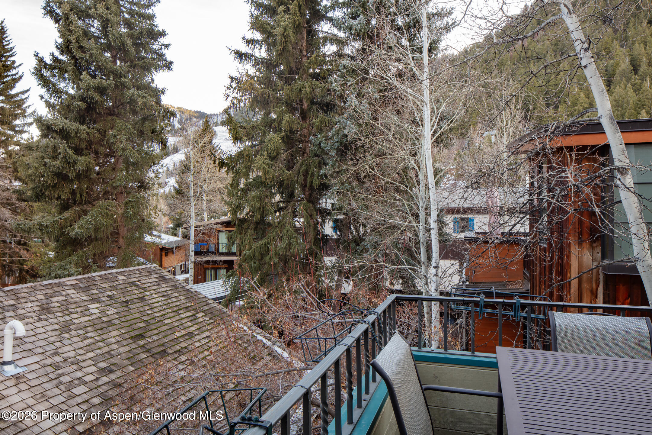 333 W Hopkins Avenue Aspen CO 81611