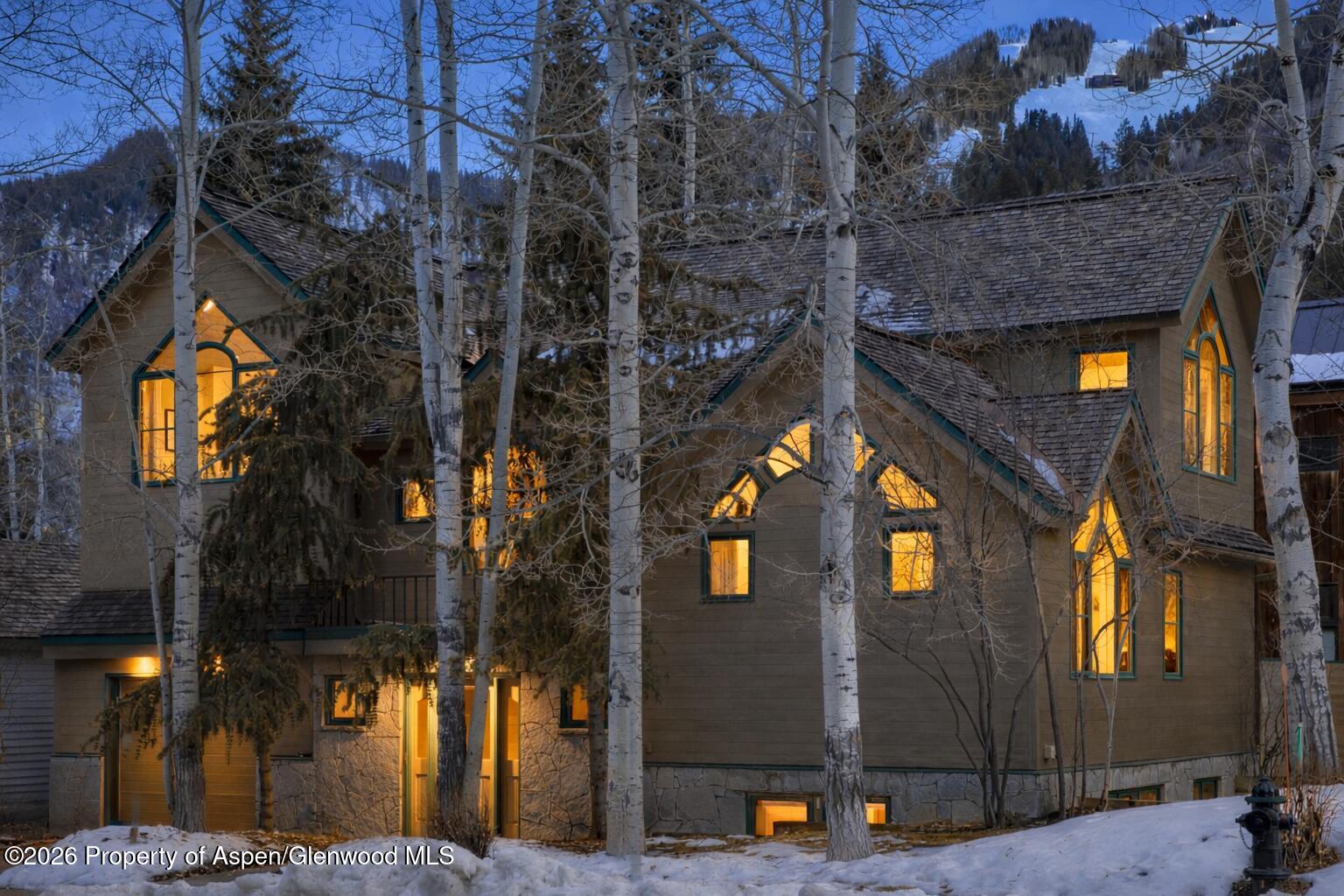 333 W Hopkins Avenue Aspen CO 81611