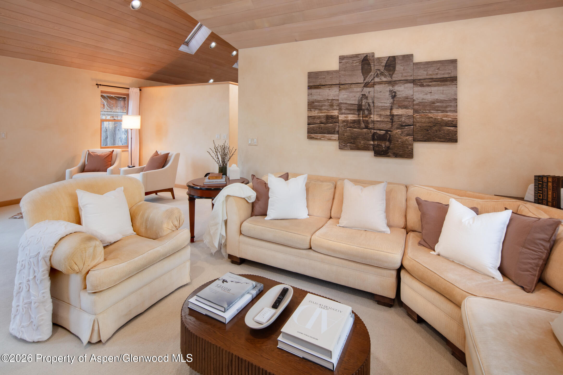 333 W Hopkins Avenue Aspen CO 81611