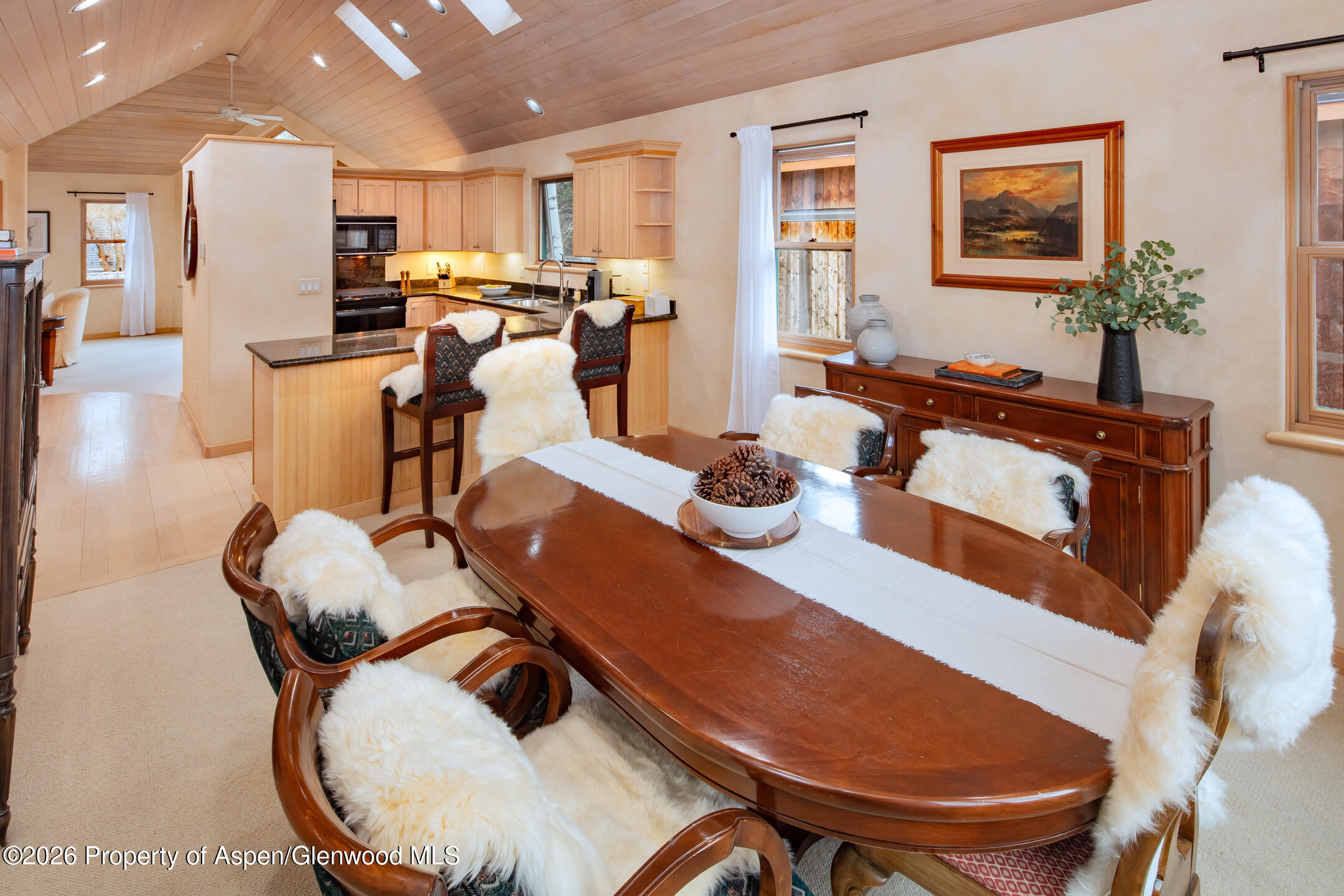 333 W Hopkins Avenue Aspen CO 81611